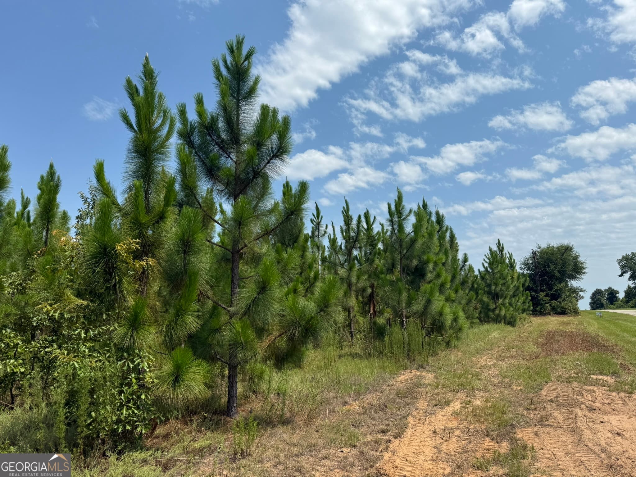 agriculture for sale at 002 Barge Road, Lumpkin, GA 31815 — photo 8