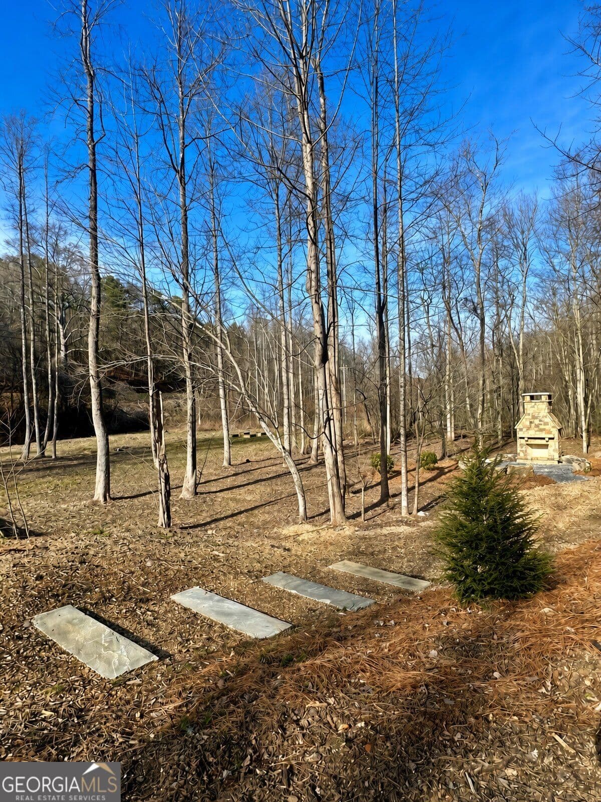 residential lot for sale at LOT 18 Turquoise Ridge, Blue Ridge, GA 30513 — photo 4
