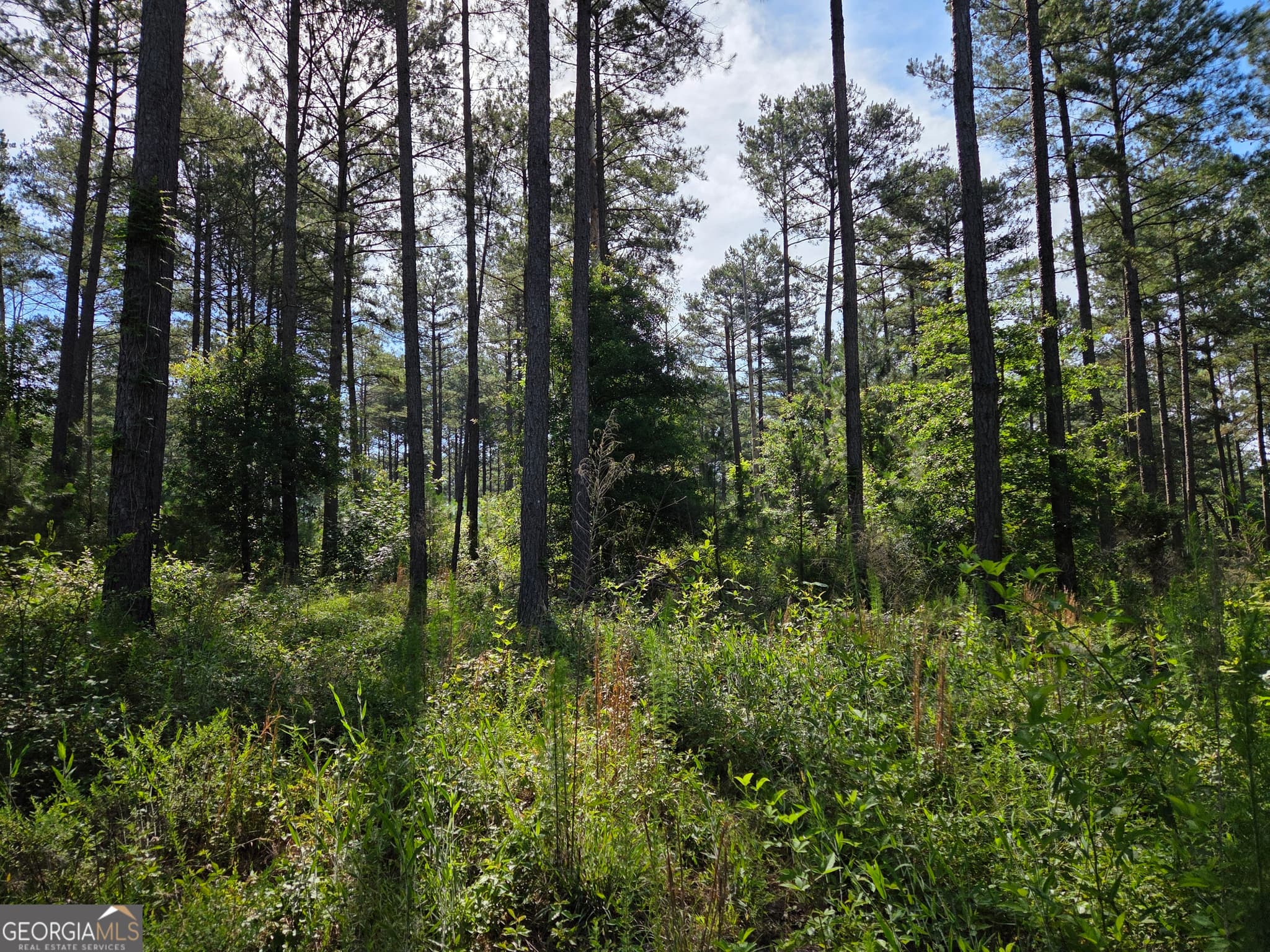unimproved land for sale at 0 PERKINS ROAD Perkins Road, Barnesville, GA 30204 — photo 2