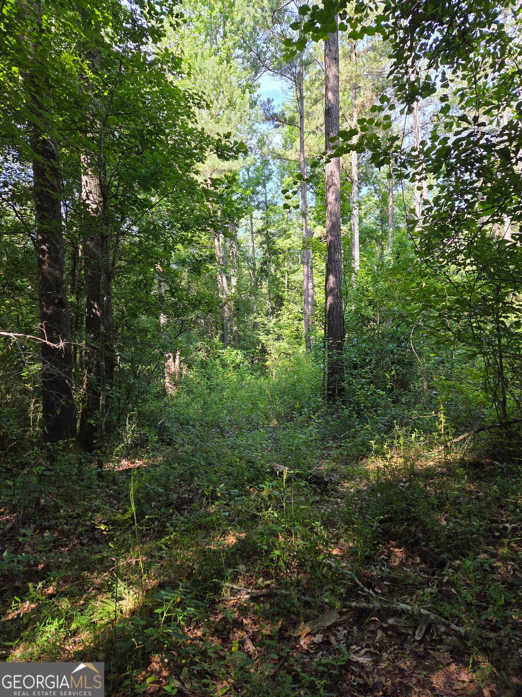 unimproved land for sale at 0 PERKINS ROAD Perkins Road, Barnesville, GA 30204 — photo 6