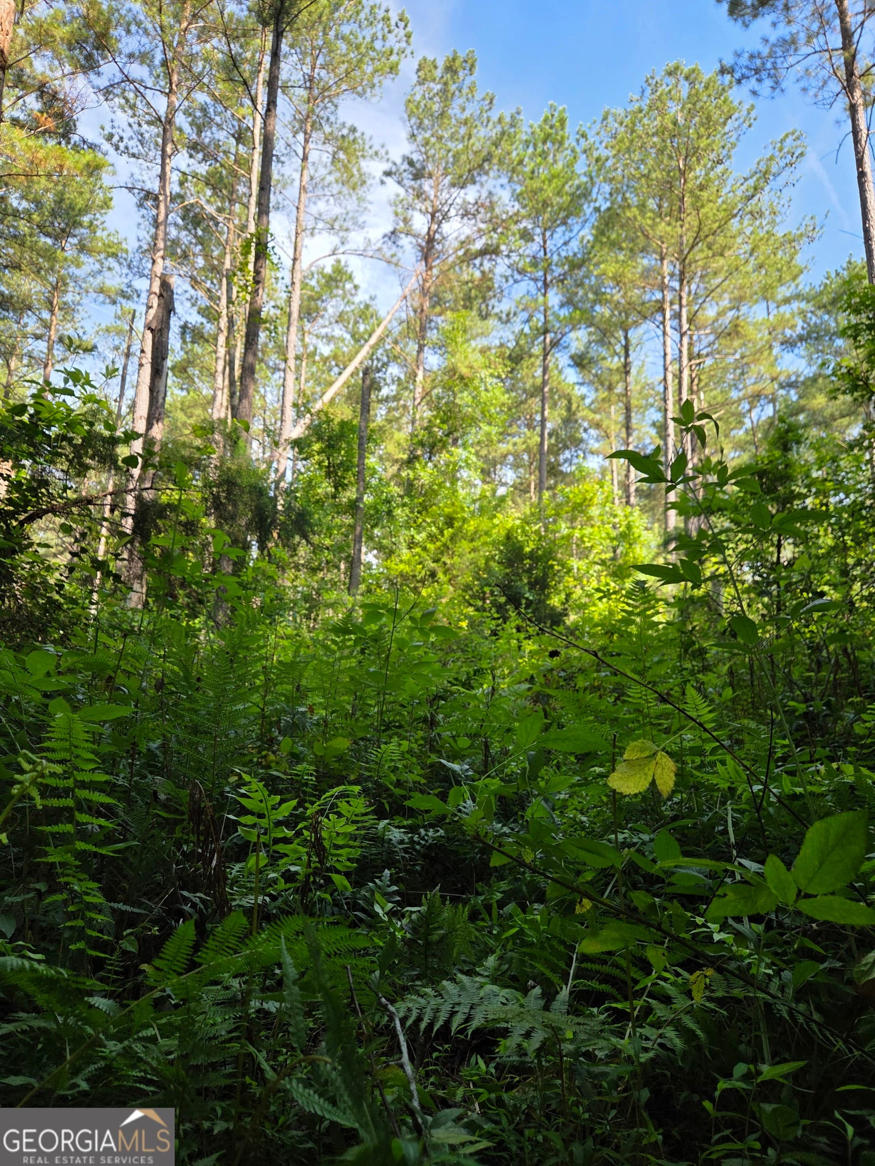 unimproved land for sale at 0 PERKINS ROAD Perkins Road, Barnesville, GA 30204 — photo 7
