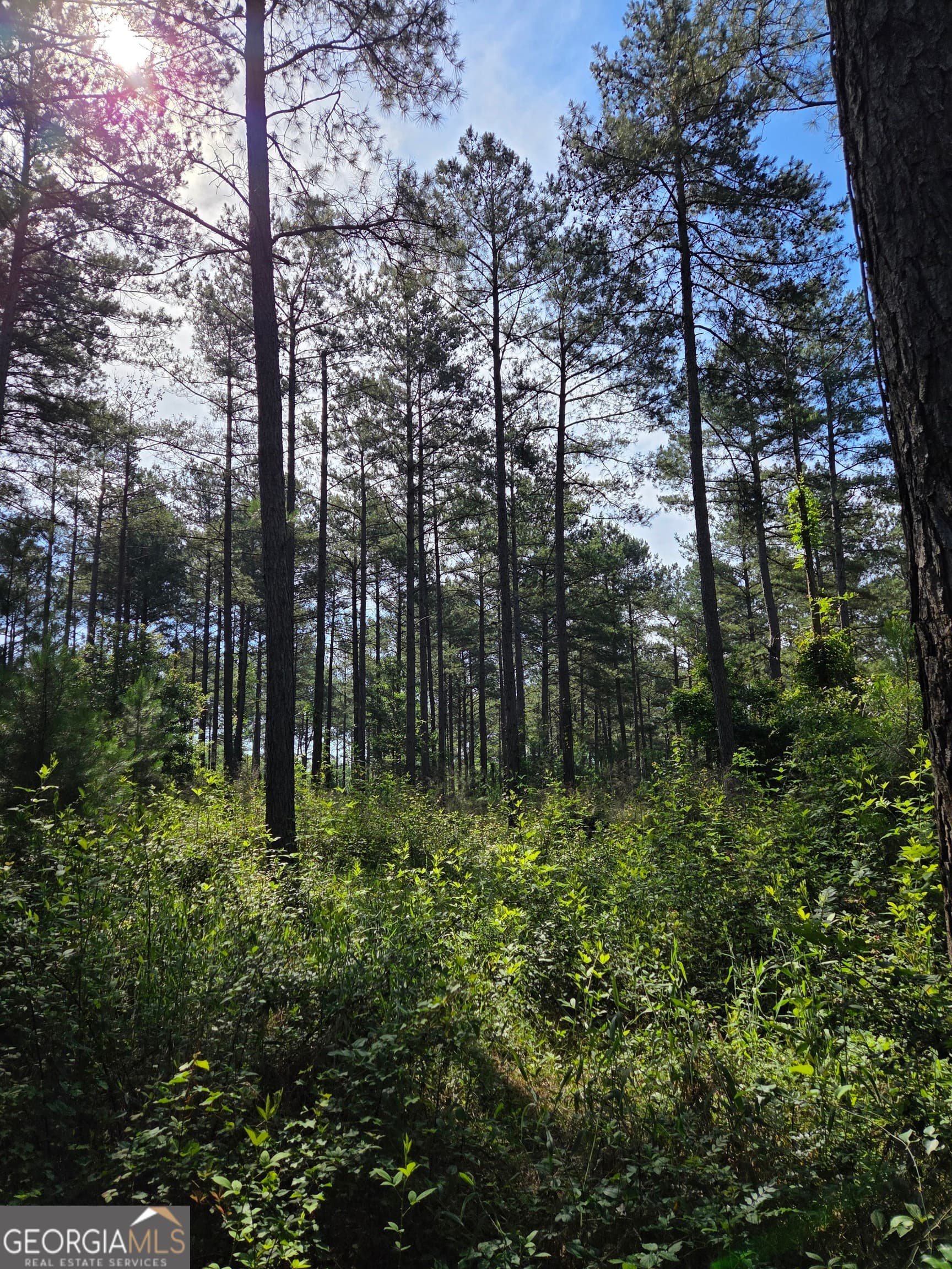 unimproved land for sale at 0 PERKINS ROAD Perkins Road, Barnesville, GA 30204 — photo 3