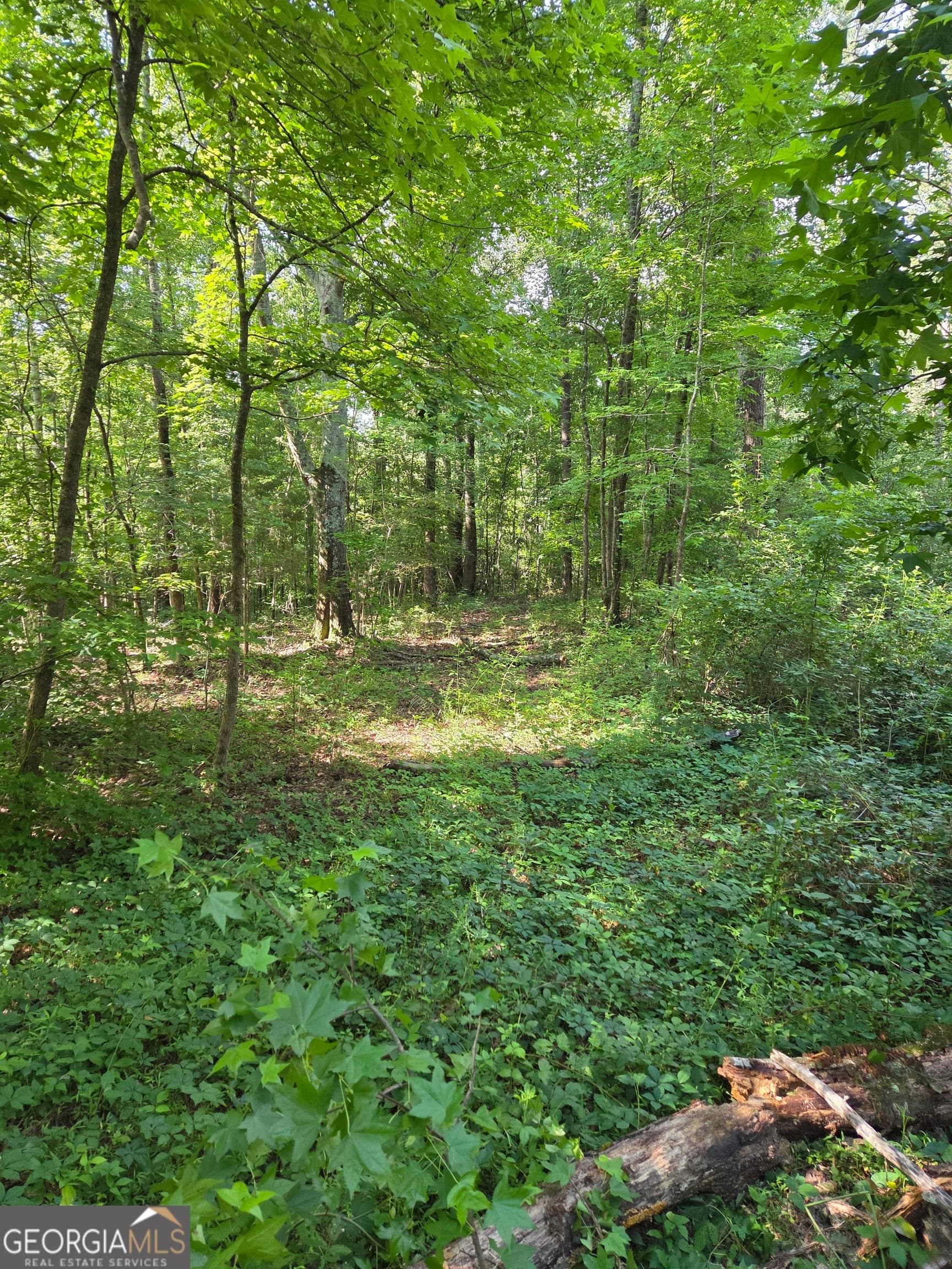 unimproved land for sale at 0 PERKINS ROAD Perkins Road, Barnesville, GA 30204 — photo 5