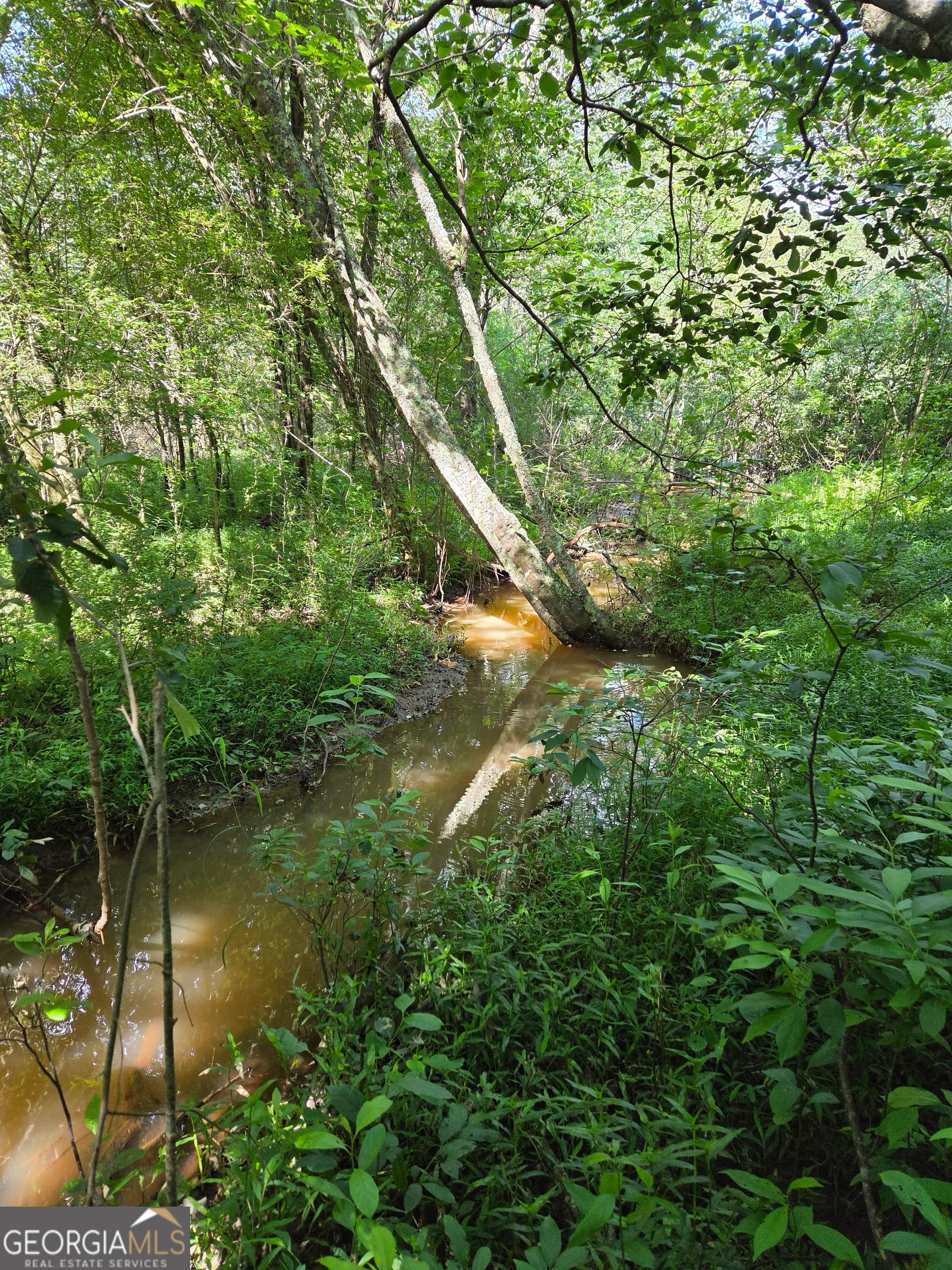 unimproved land for sale at 0 PERKINS ROAD Perkins Road, Barnesville, GA 30204 — photo 10