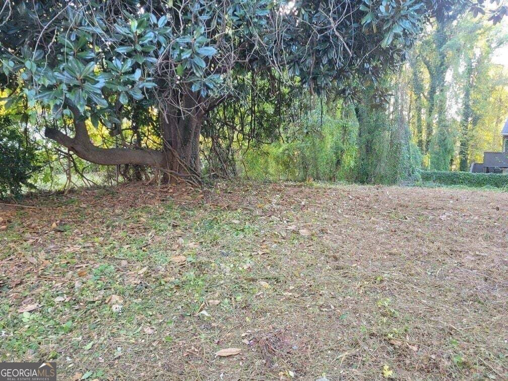 unimproved land for sale at 1669 Stanton Road 190-105, Atlanta, GA 30311 — photo 6