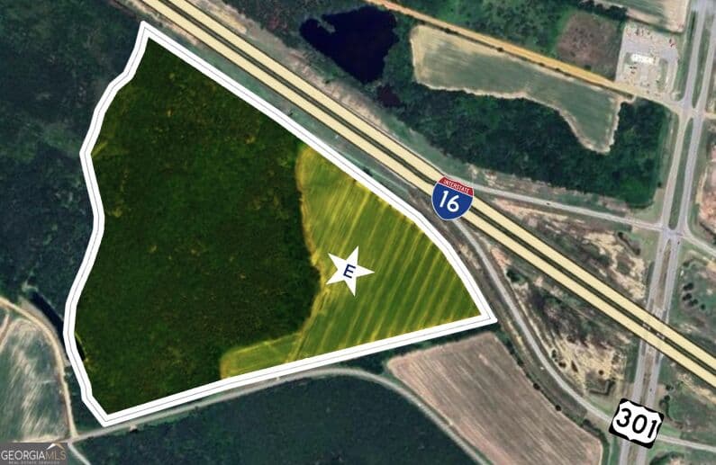 unimproved land for sale at 64.05 ACRES Highway 301, Register, GA 30452 — photo 1 of 1
