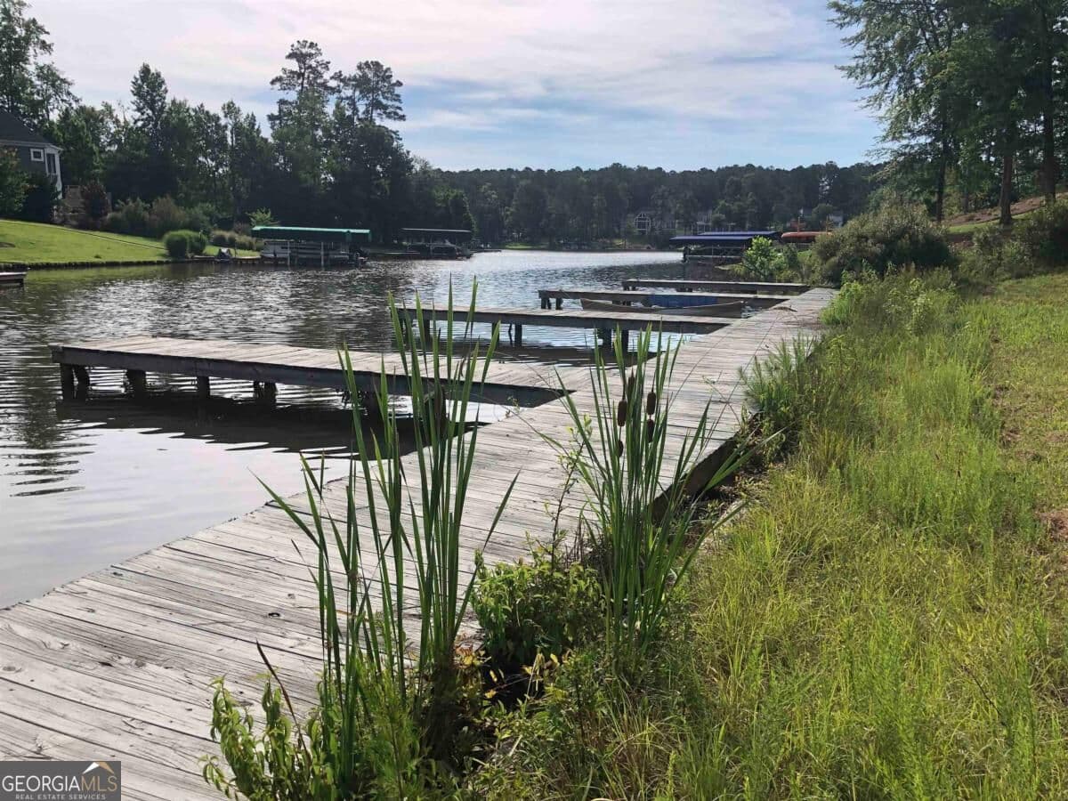 residential lot for sale at 1040 Osprey Circle, Greensboro, GA 30642 — photo 1 of 23