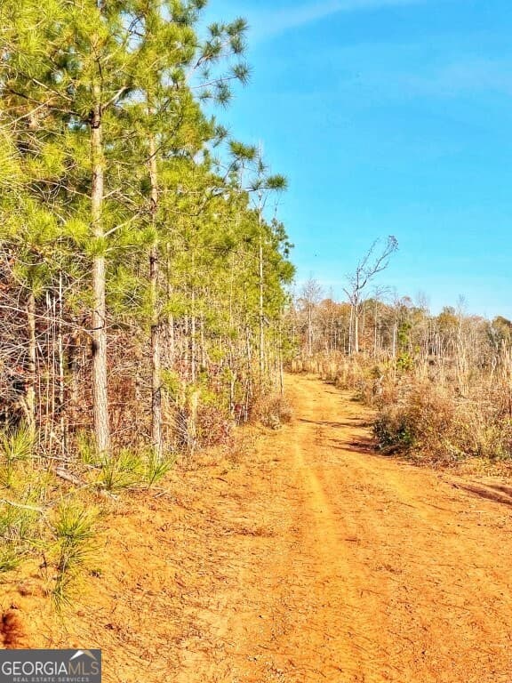agriculture for sale at 0 Fullerton-Phillips & Greer Road, Hillsboro, GA 31038 — photo 6