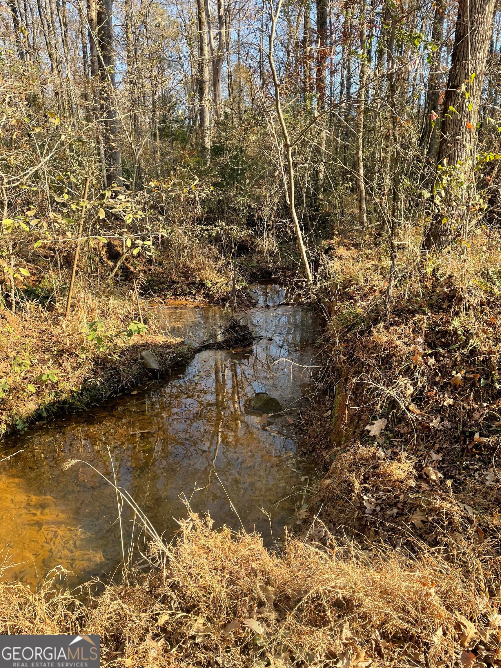 agriculture for sale at 0 Fullerton-Phillips & Greer Road, Hillsboro, GA 31038 — photo 3