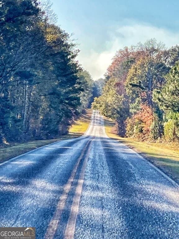 agriculture for sale at 0 Fullerton-Phillips & Greer Road, Hillsboro, GA 31038 — photo 8