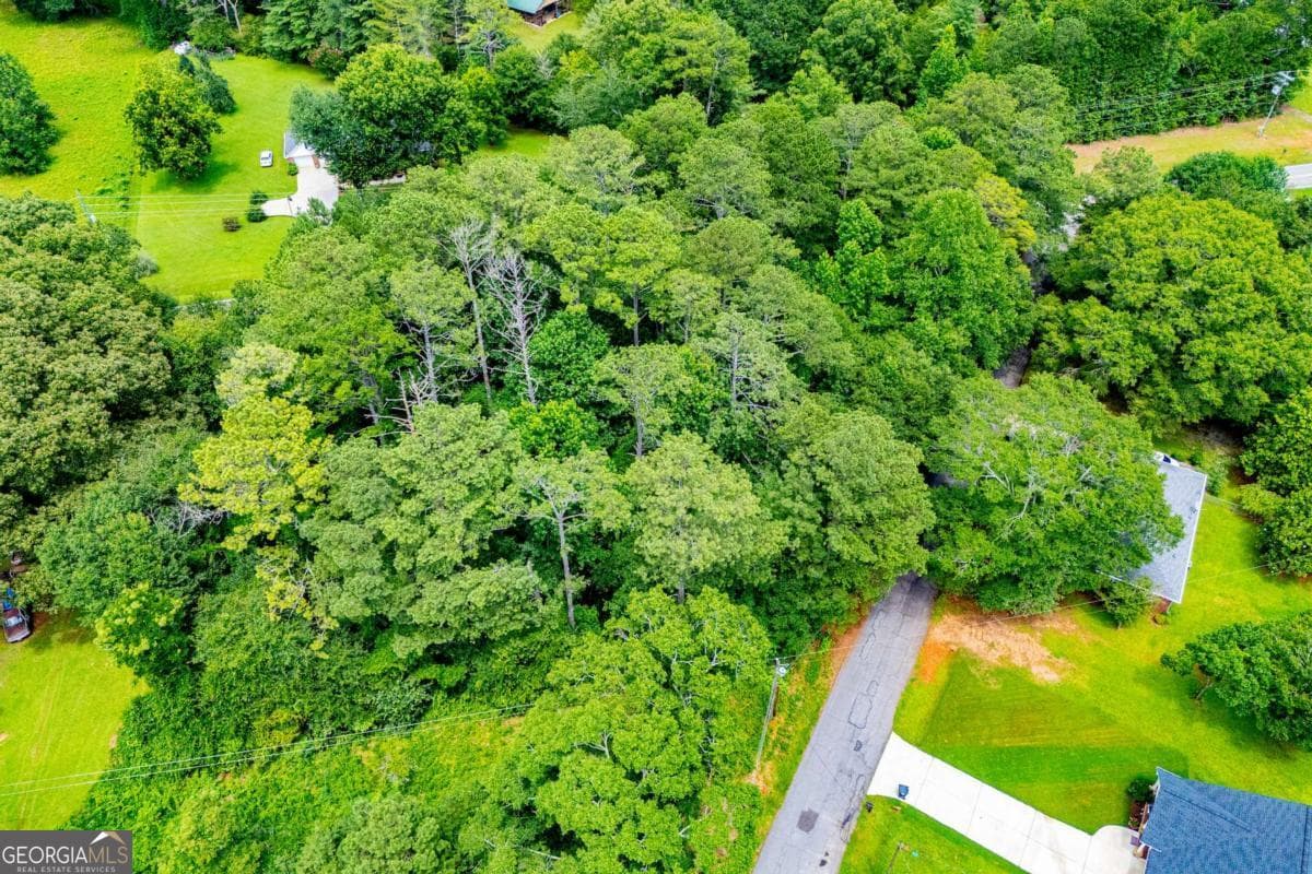 residential lot for sale at 25 & 35 Mary Lane, Carrollton, GA 30117 — photo 1 of 35