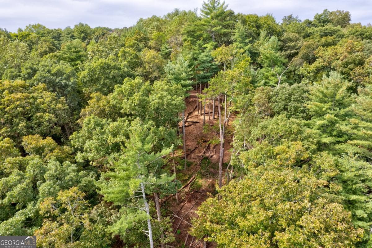 residential lot for sale at LT 102R Ponca Court 102R, Ellijay, GA 30540 — photo 6