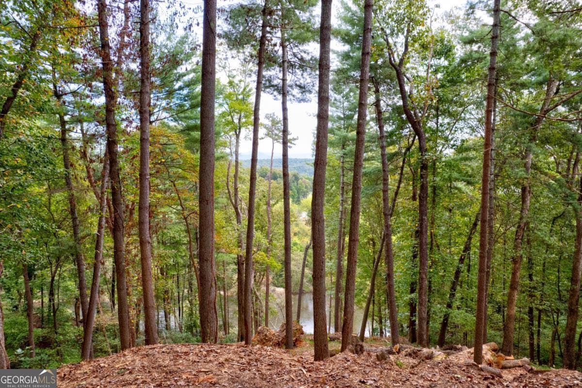 residential lot for sale at LT 102R Ponca Court 102R, Ellijay, GA 30540 — photo 1 of 68