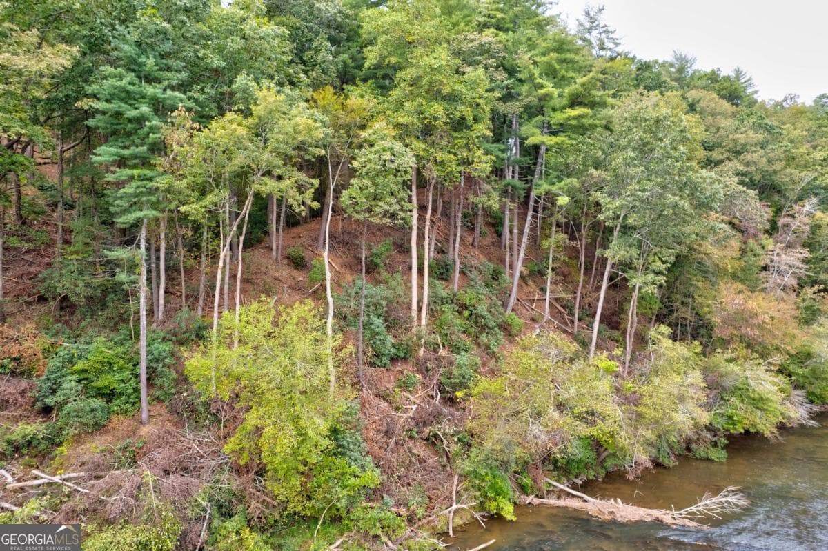 residential lot for sale at LT 102R Ponca Court 102R, Ellijay, GA 30540 — photo 9
