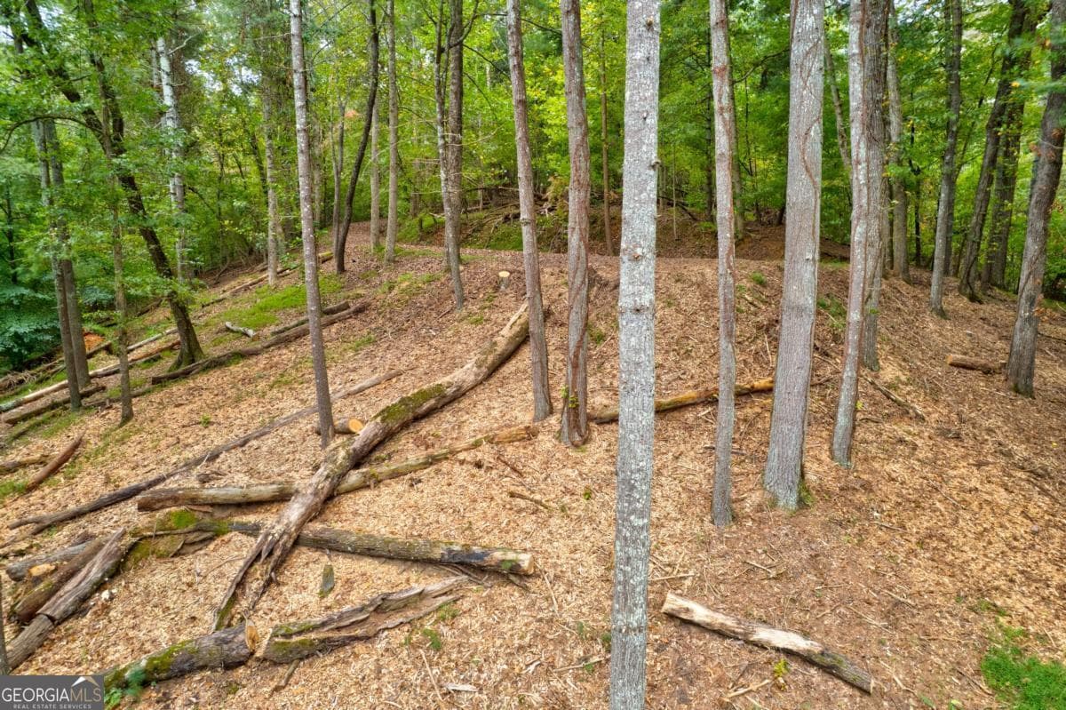 residential lot for sale at LT 102R Ponca Court 102R, Ellijay, GA 30540 — photo 10