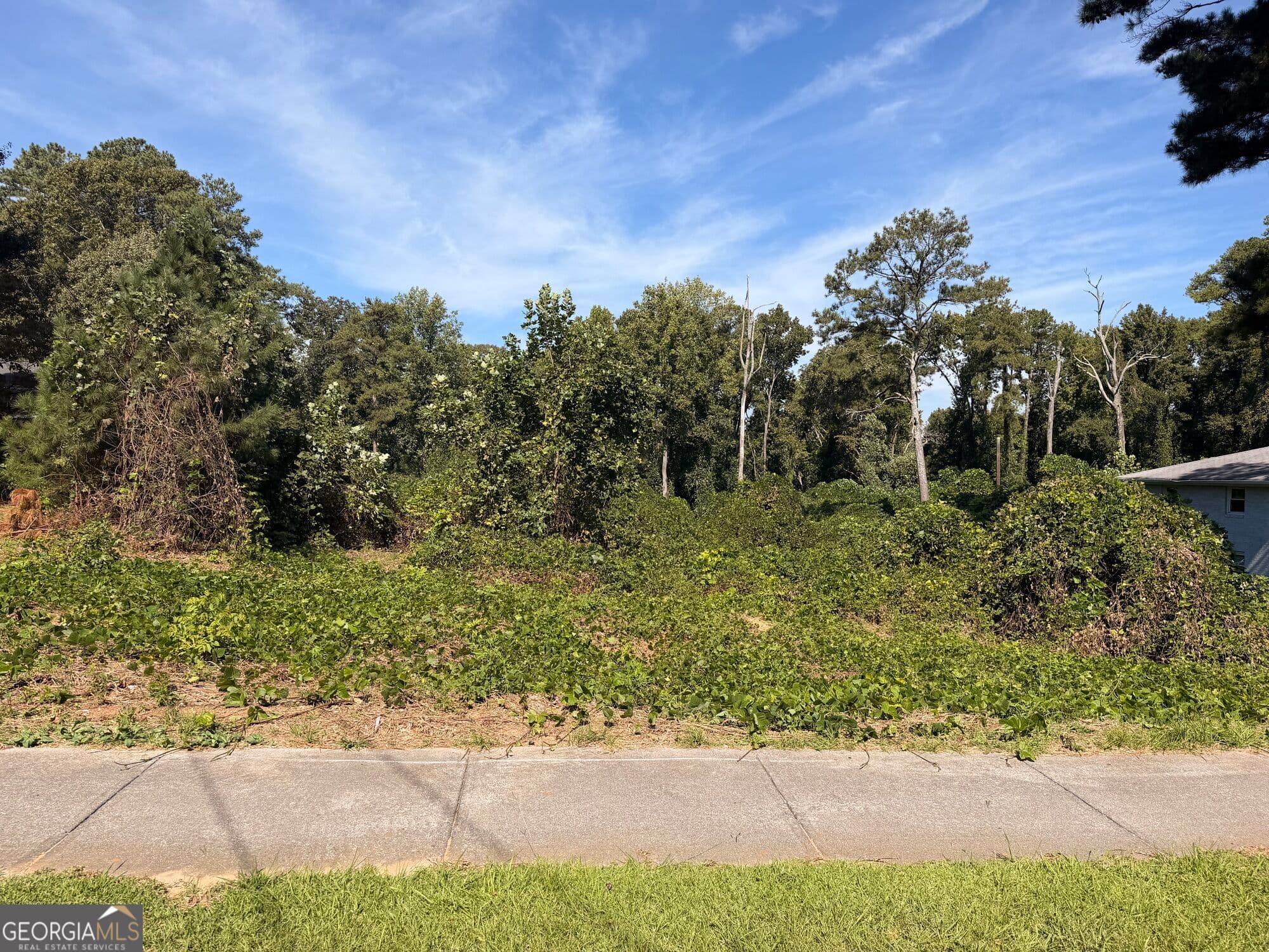 residential lot for sale at 1156 Blair Bridge Road, Austell, GA 30168 — photo 6