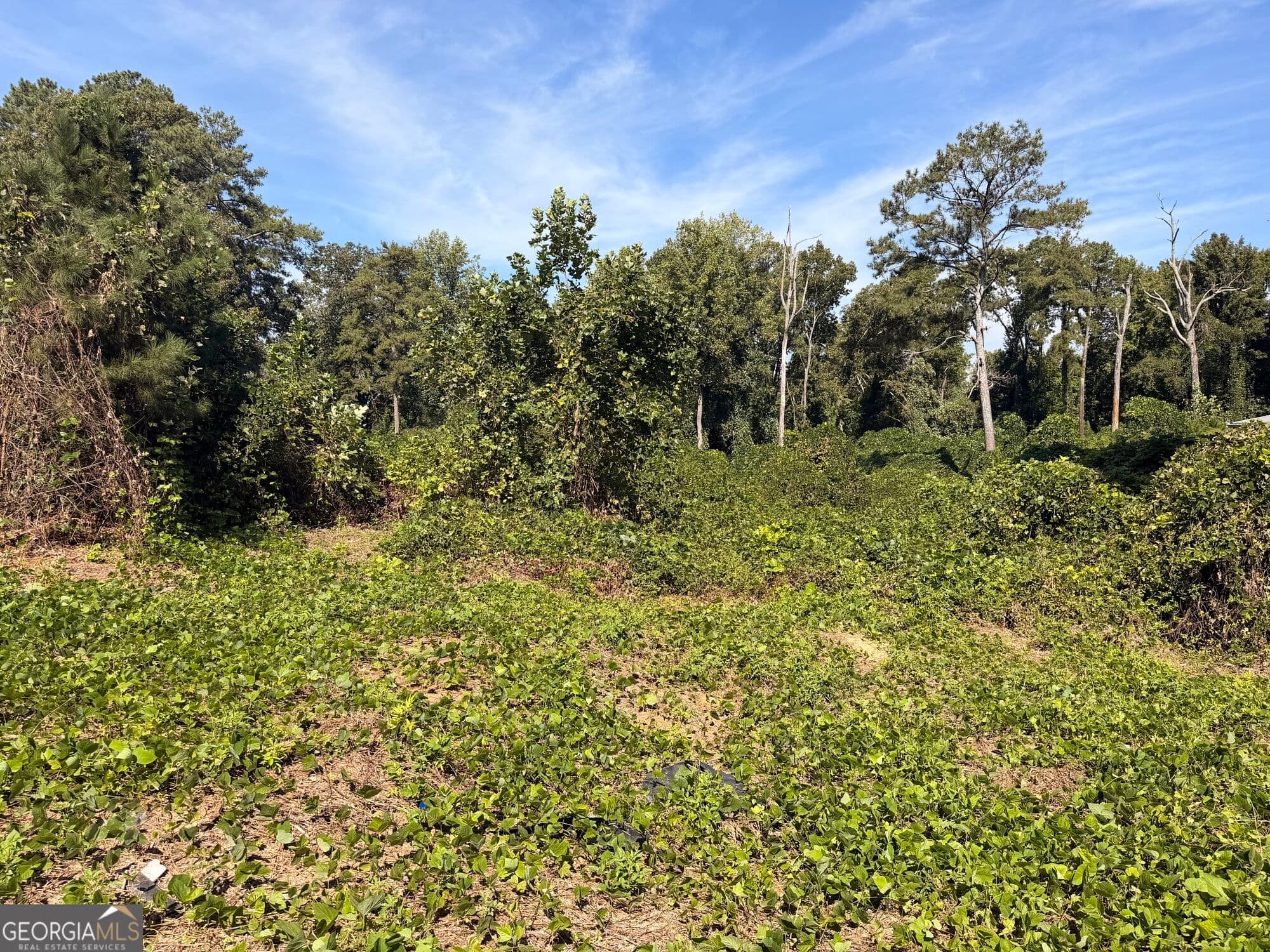 residential lot for sale at 1156 Blair Bridge Road, Austell, GA 30168 — photo 9