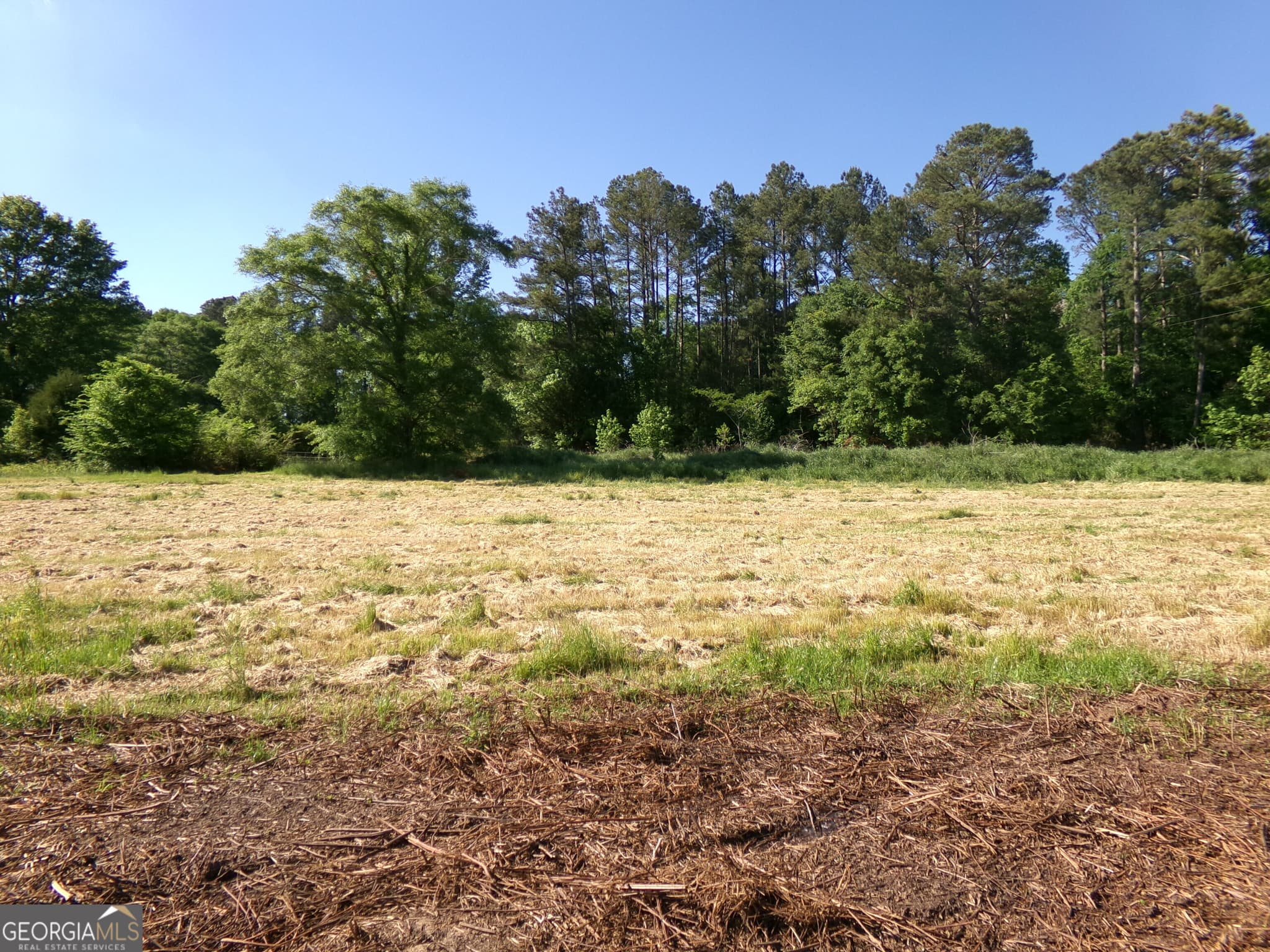 unimproved land for sale at 3905 Georgia Highway 138, Covington, GA 30014 — photo 2
