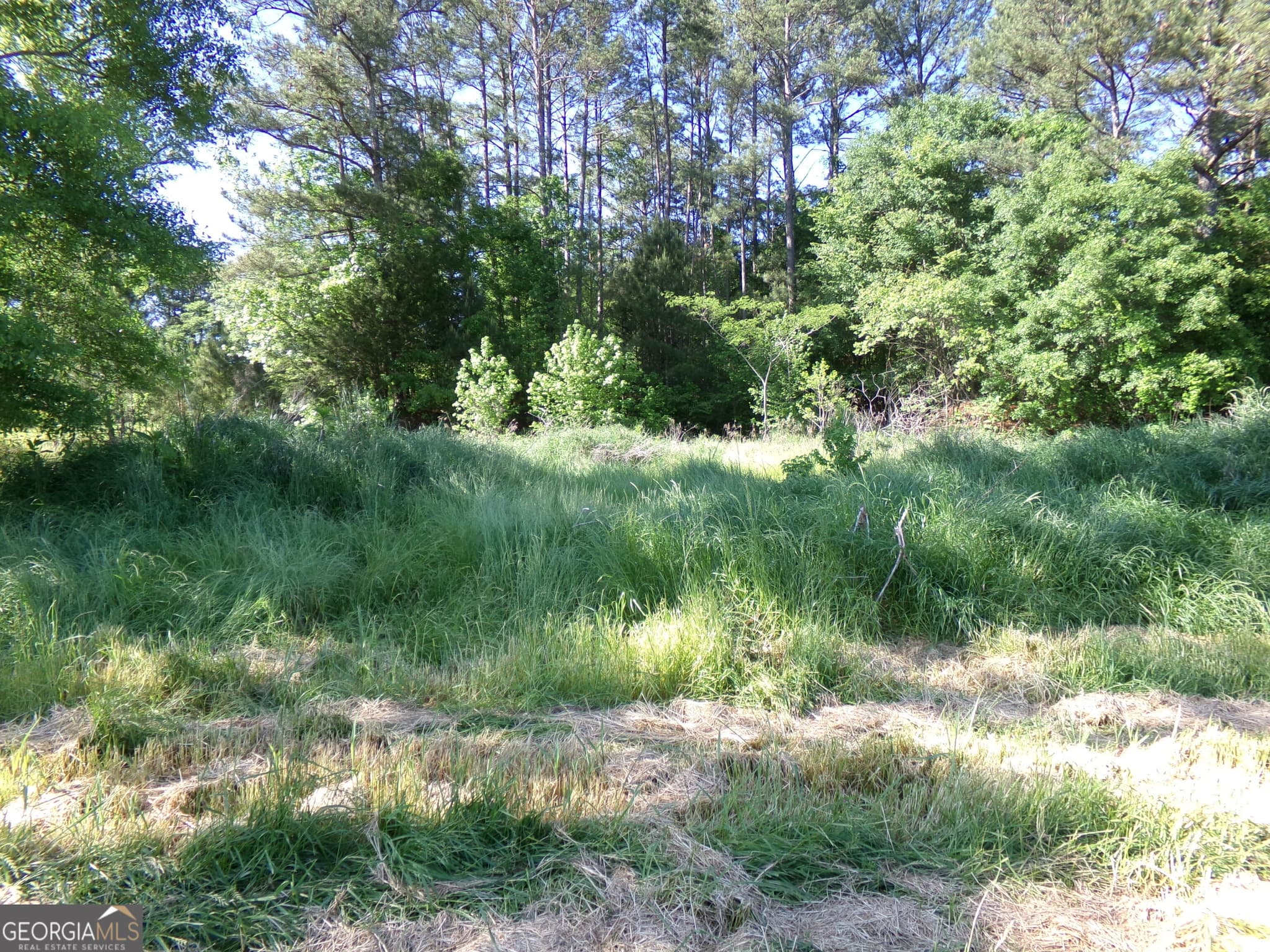 unimproved land for sale at 3905 Georgia Highway 138, Covington, GA 30014 — photo 6