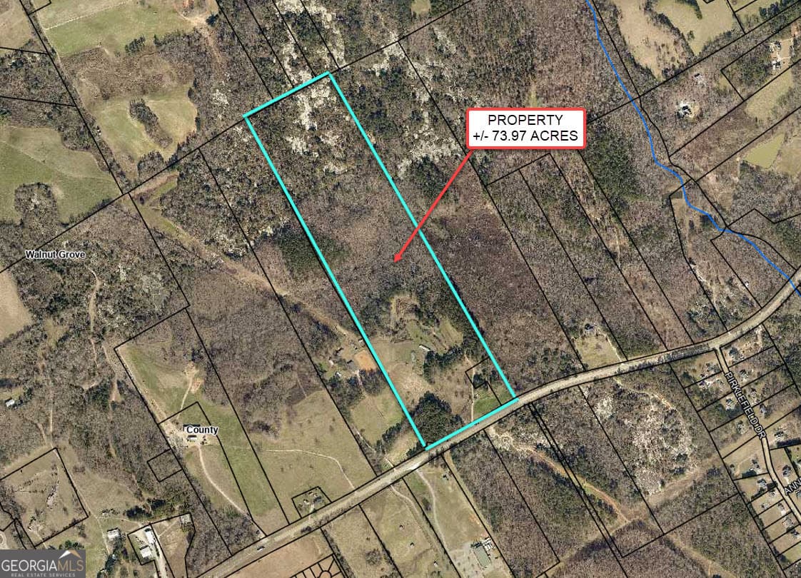 unimproved land for sale at 3905 Georgia Highway 138, Covington, GA 30014 — photo 3