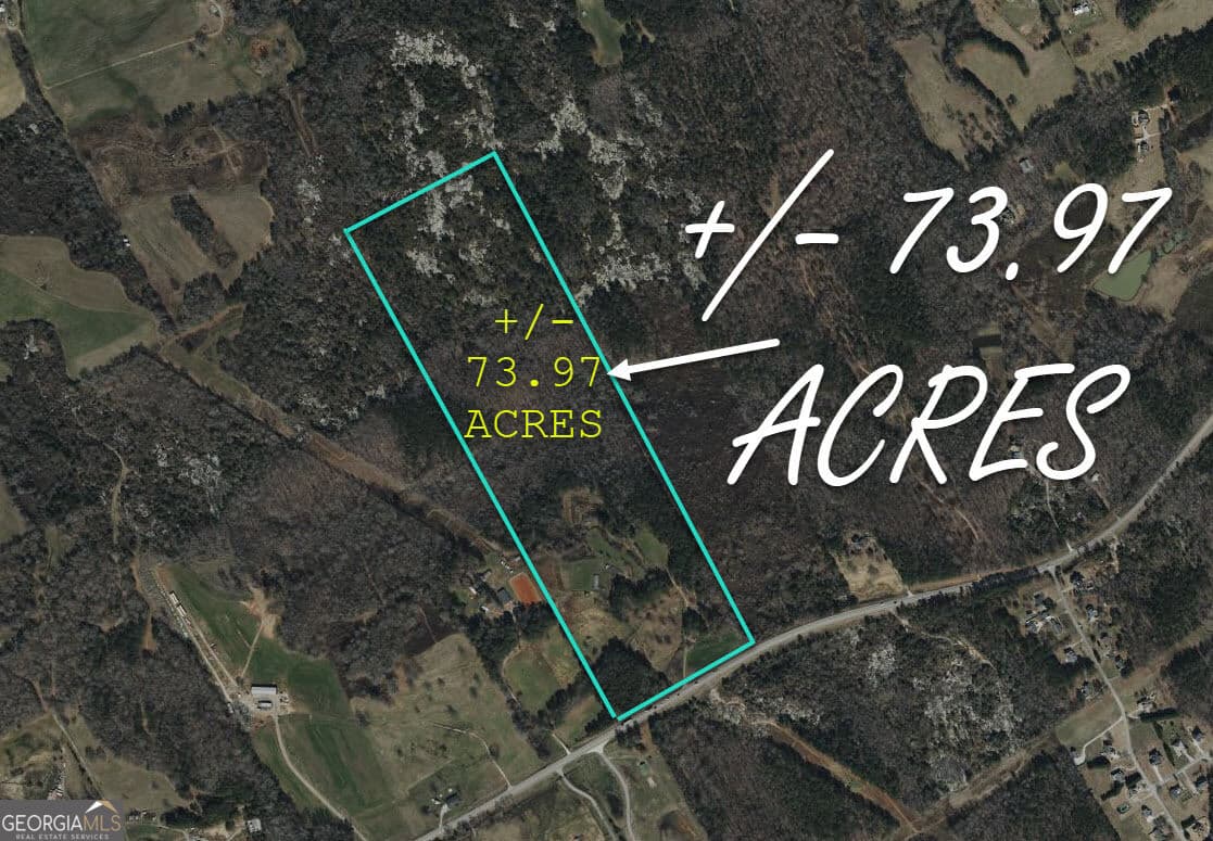 unimproved land for sale at 3905 Georgia Highway 138, Covington, GA 30014 — photo 1 of 43