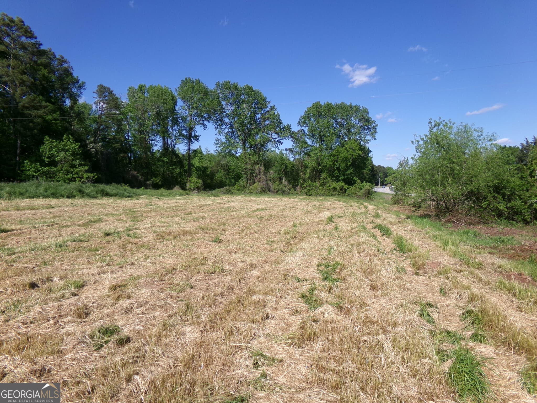 unimproved land for sale at 3905 Georgia Highway 138, Covington, GA 30014 — photo 5