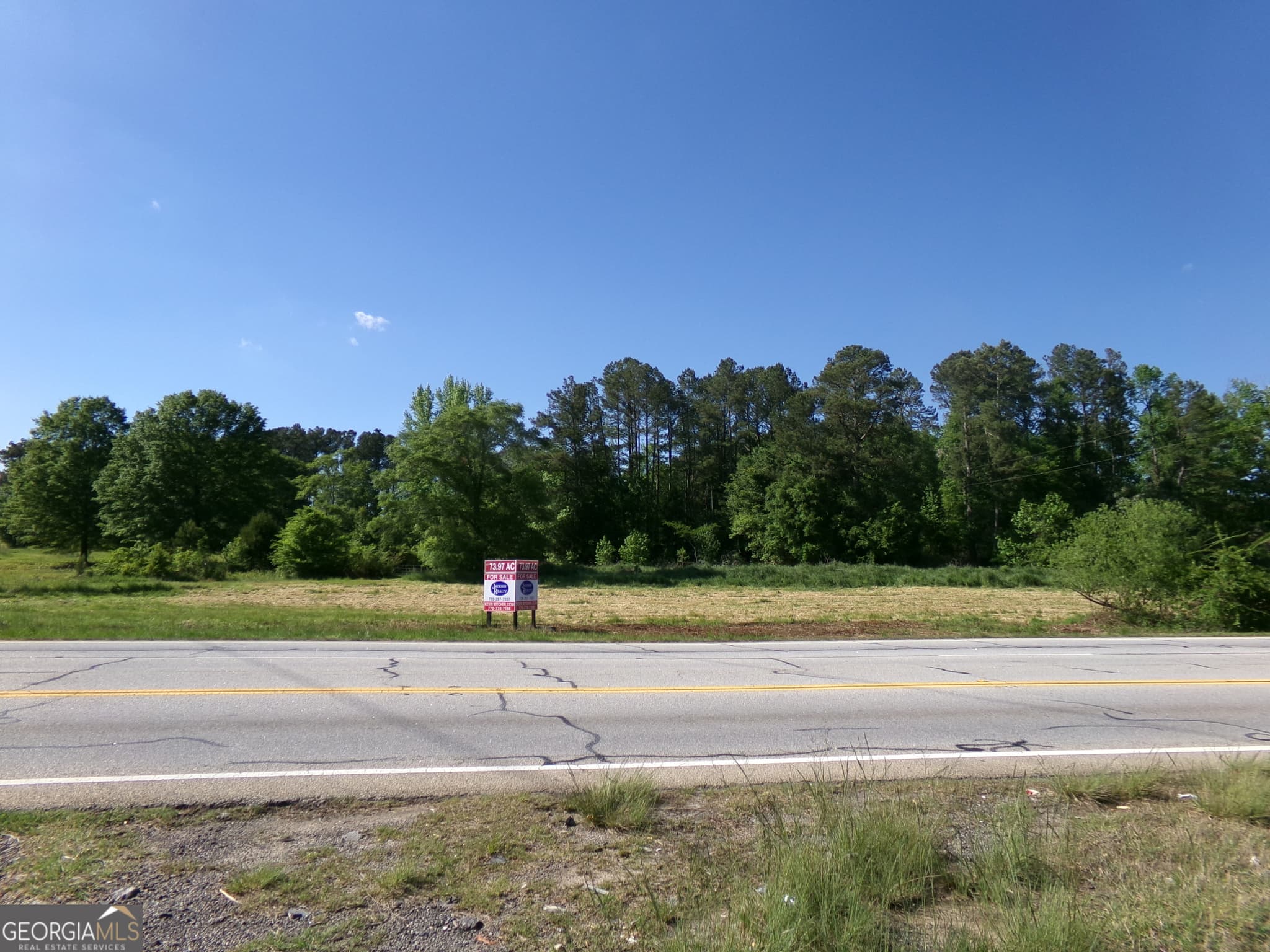 unimproved land for sale at 3905 Georgia Highway 138, Covington, GA 30014 — photo 4