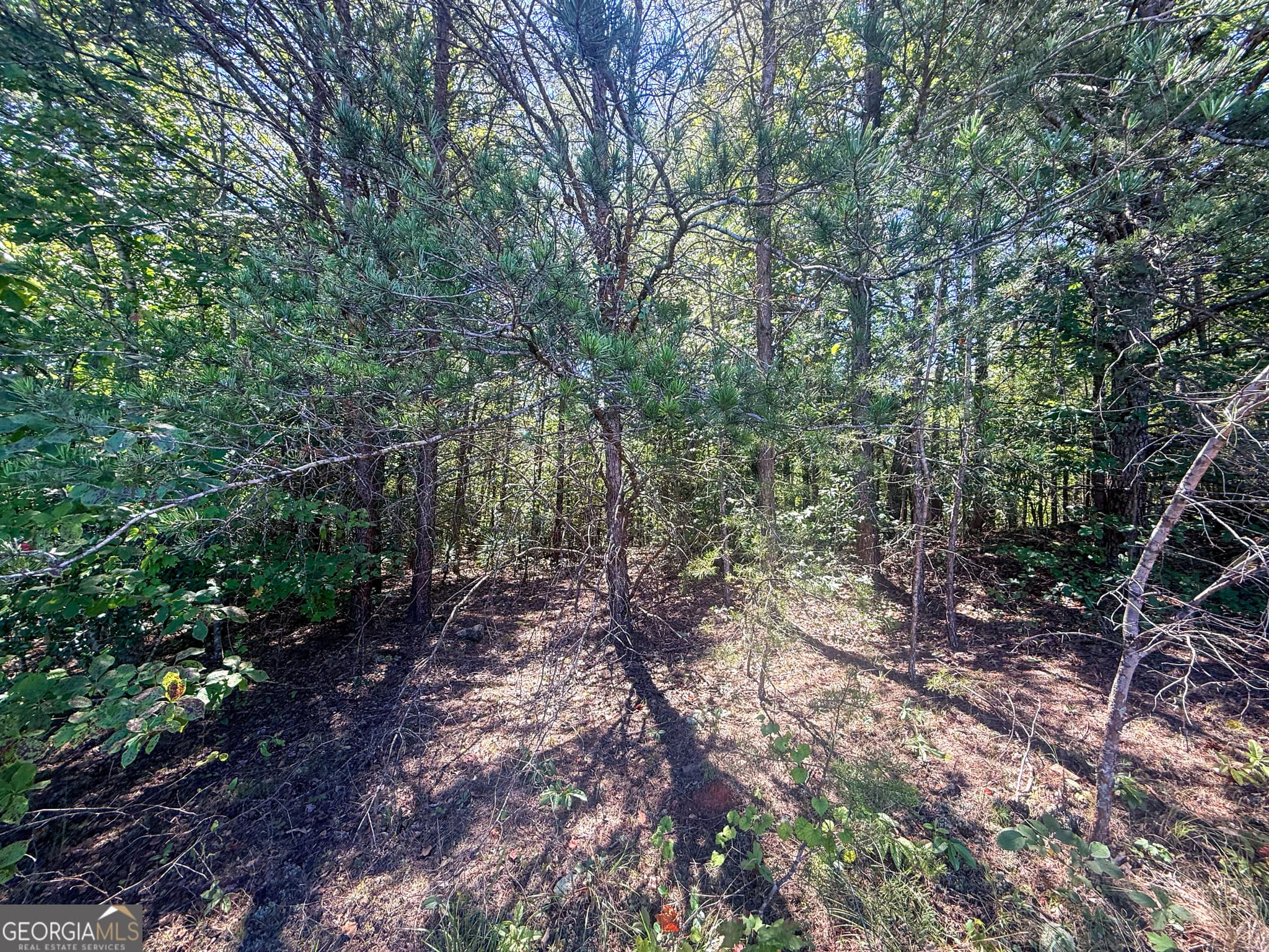 residential lot for sale at LOT 21 Sunshine Ridge Drive, Toccoa, GA 30577 — photo 2