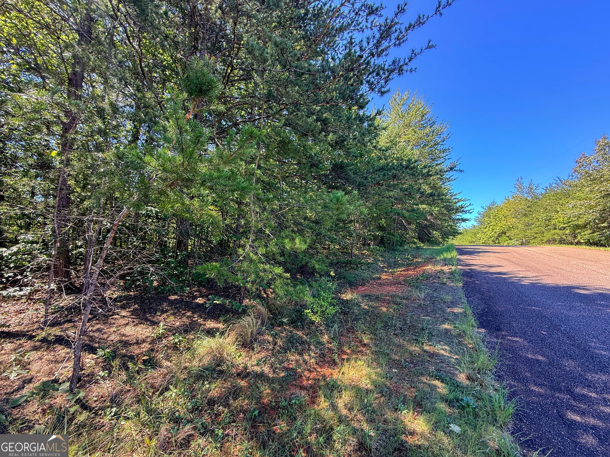 residential lot for sale at LOT 21 Sunshine Ridge Drive, Toccoa, GA 30577 — photo 3
