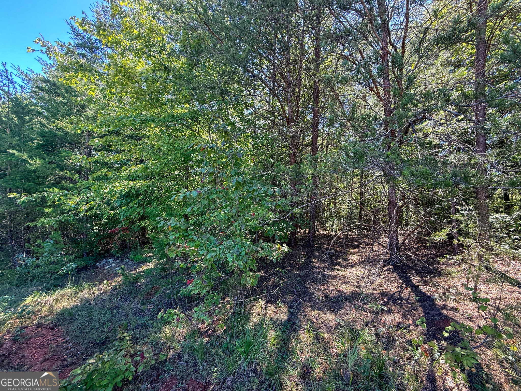 residential lot for sale at LOT 21 Sunshine Ridge Drive, Toccoa, GA 30577 — photo 4