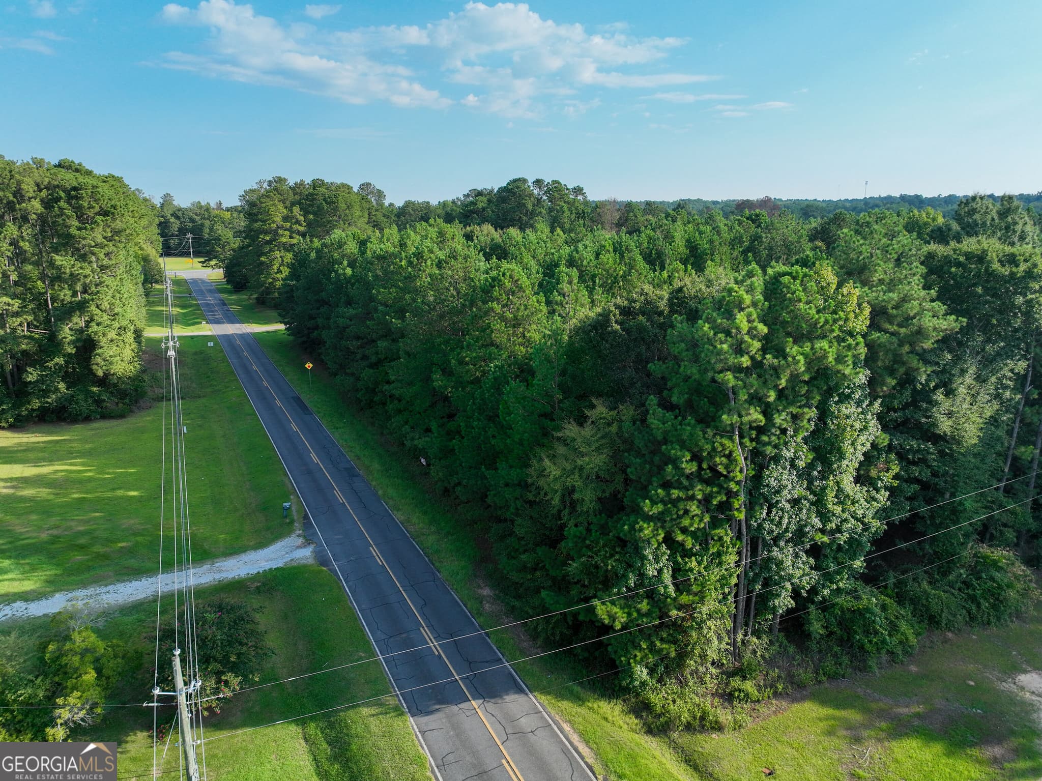agriculture for sale at 110 & 200 McCullar Weaver Road, Milledgeville, GA 31061 — photo 2