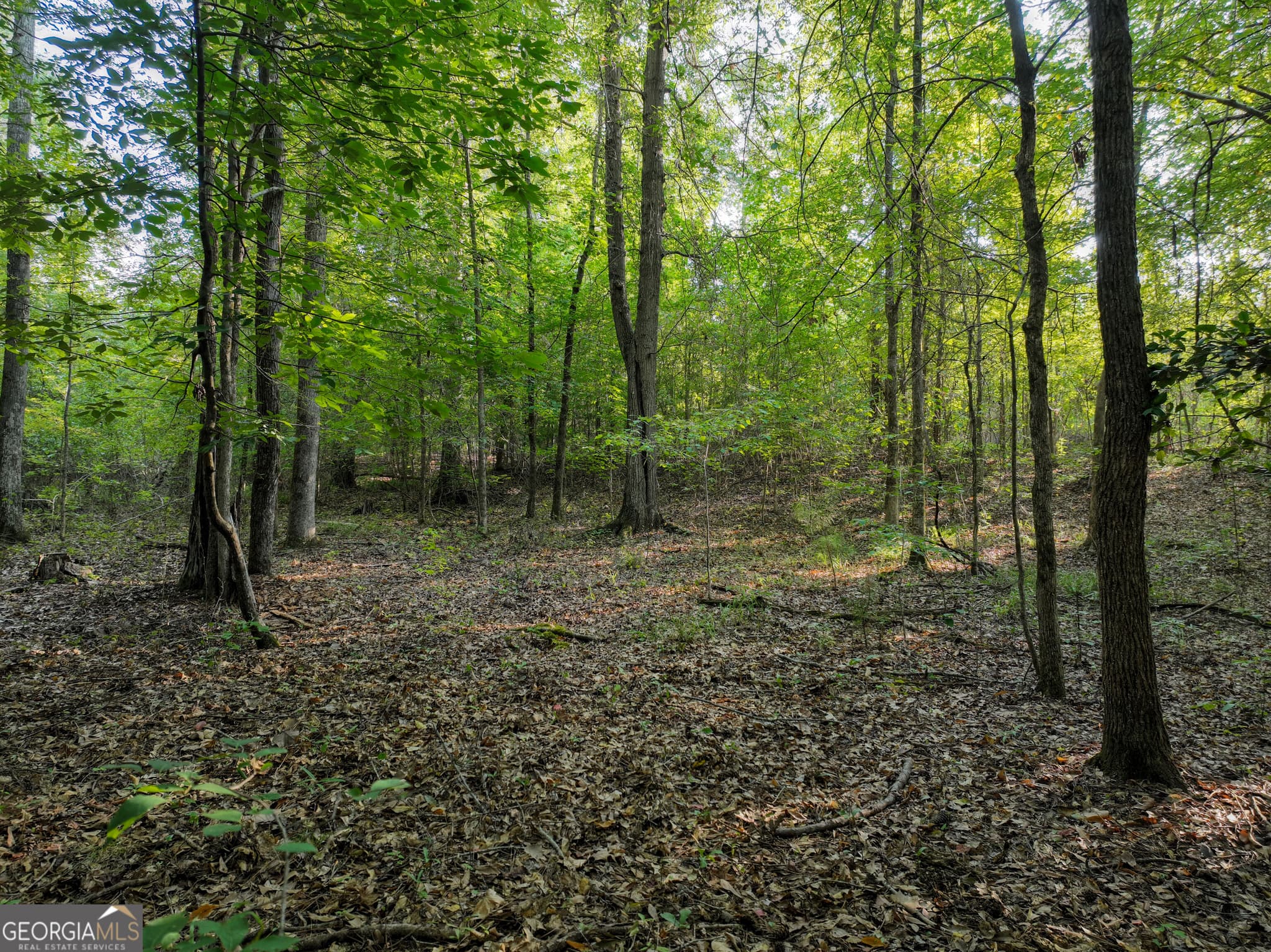 agriculture for sale at 110 & 200 McCullar Weaver Road, Milledgeville, GA 31061 — photo 7