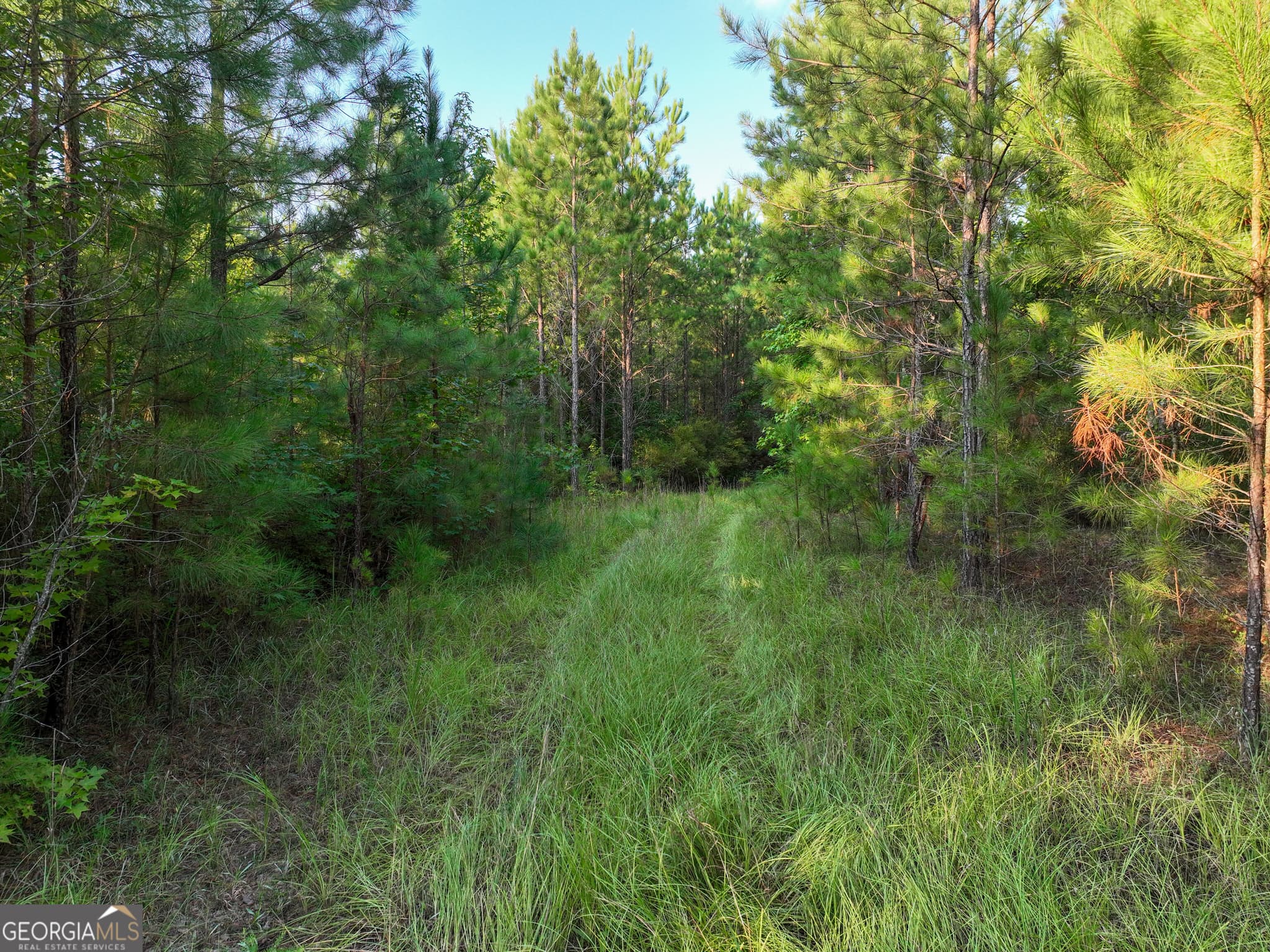 agriculture for sale at 110 & 200 McCullar Weaver Road, Milledgeville, GA 31061 — photo 3