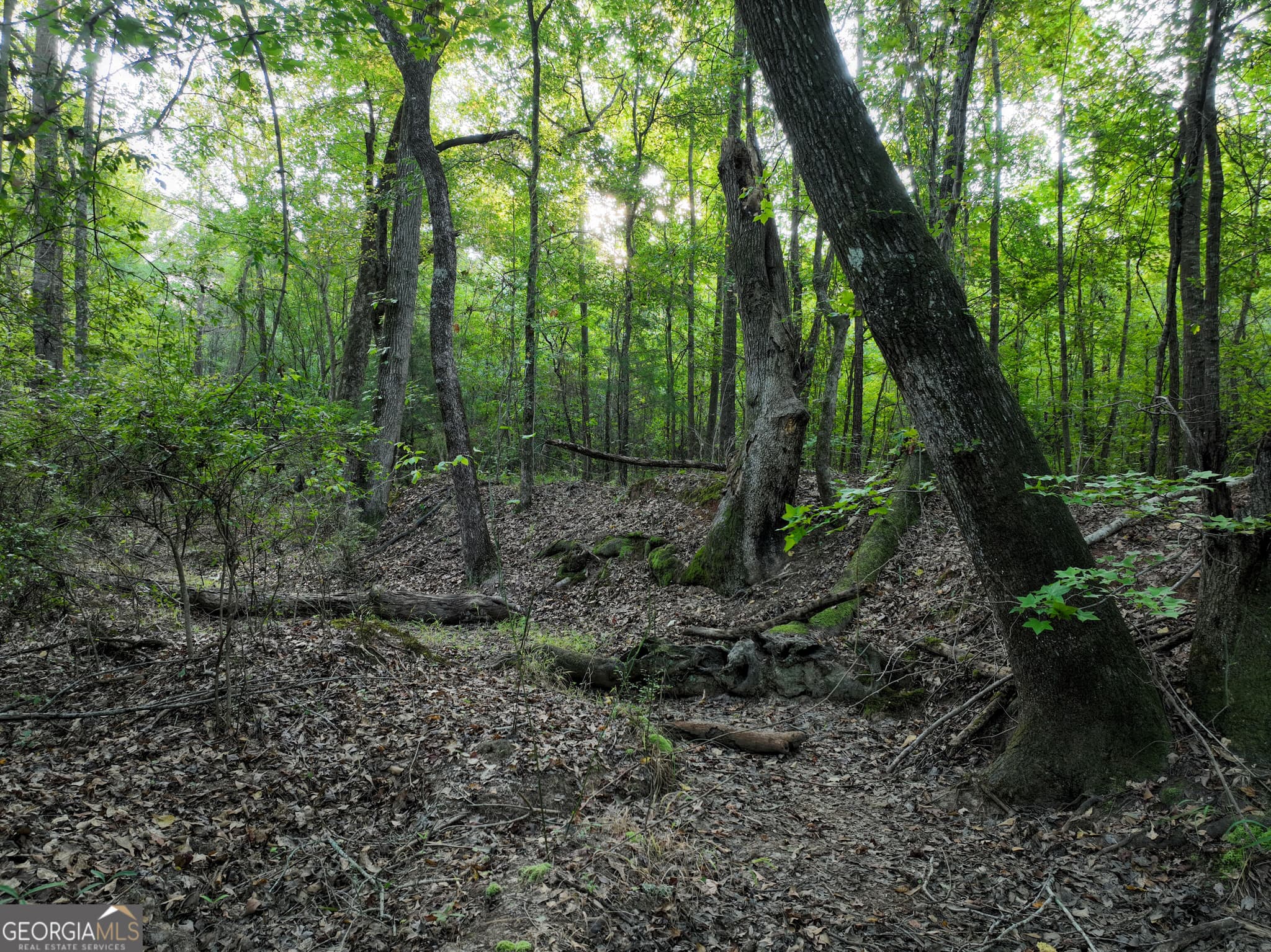 agriculture for sale at 110 & 200 McCullar Weaver Road, Milledgeville, GA 31061 — photo 5