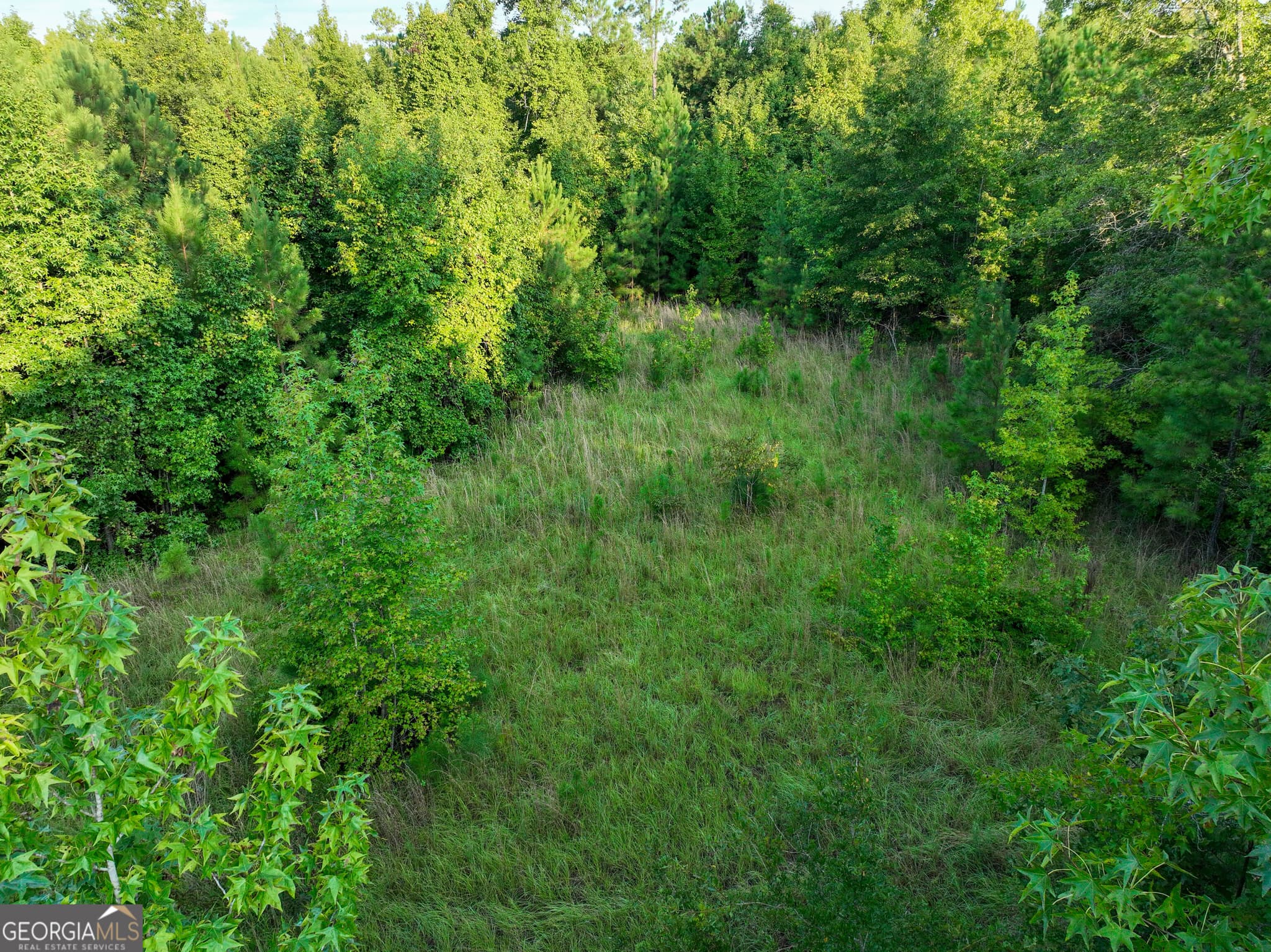 agriculture for sale at 110 & 200 McCullar Weaver Road, Milledgeville, GA 31061 — photo 9