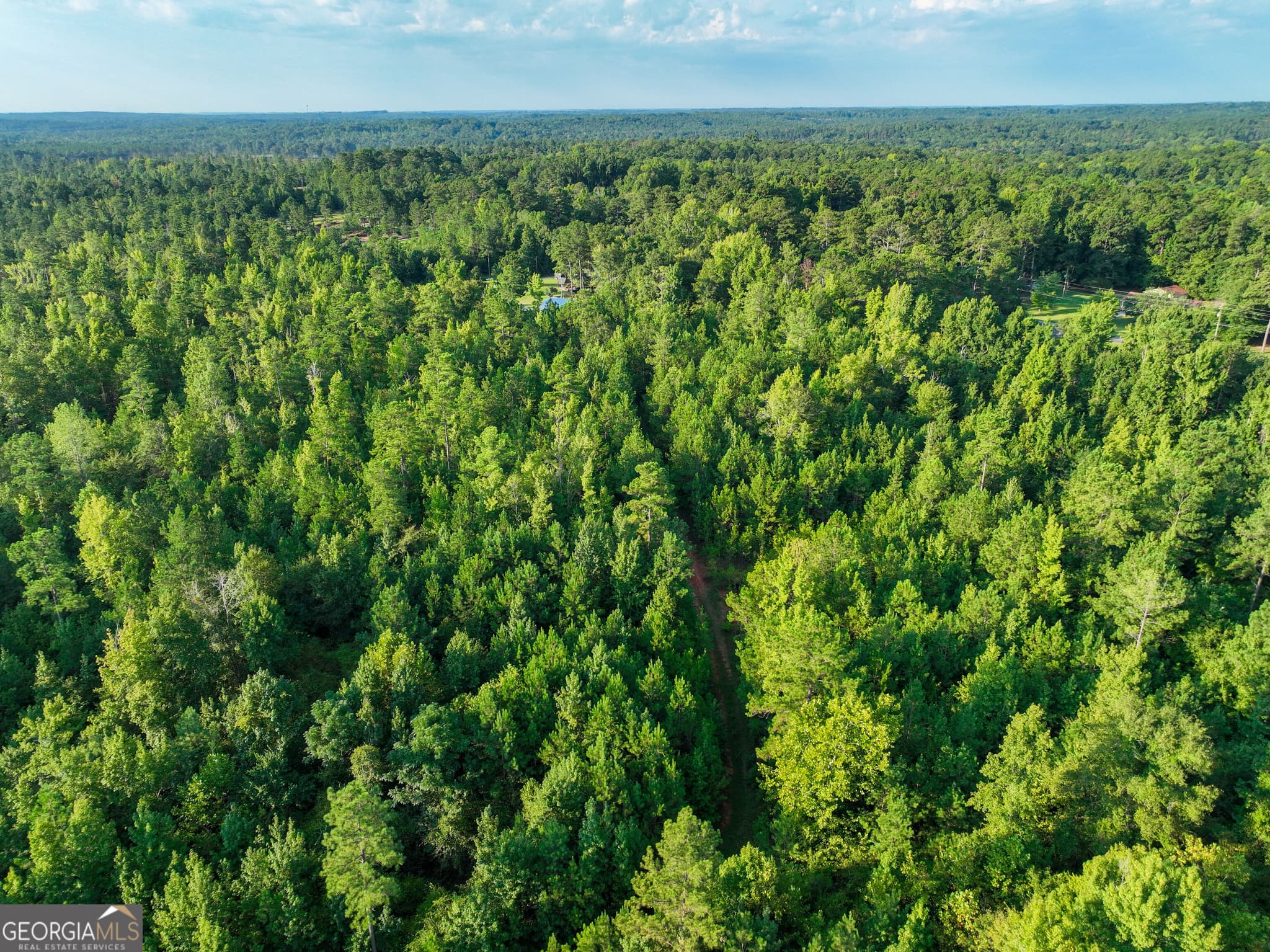 agriculture for sale at 110 & 200 McCullar Weaver Road, Milledgeville, GA 31061 — photo 10