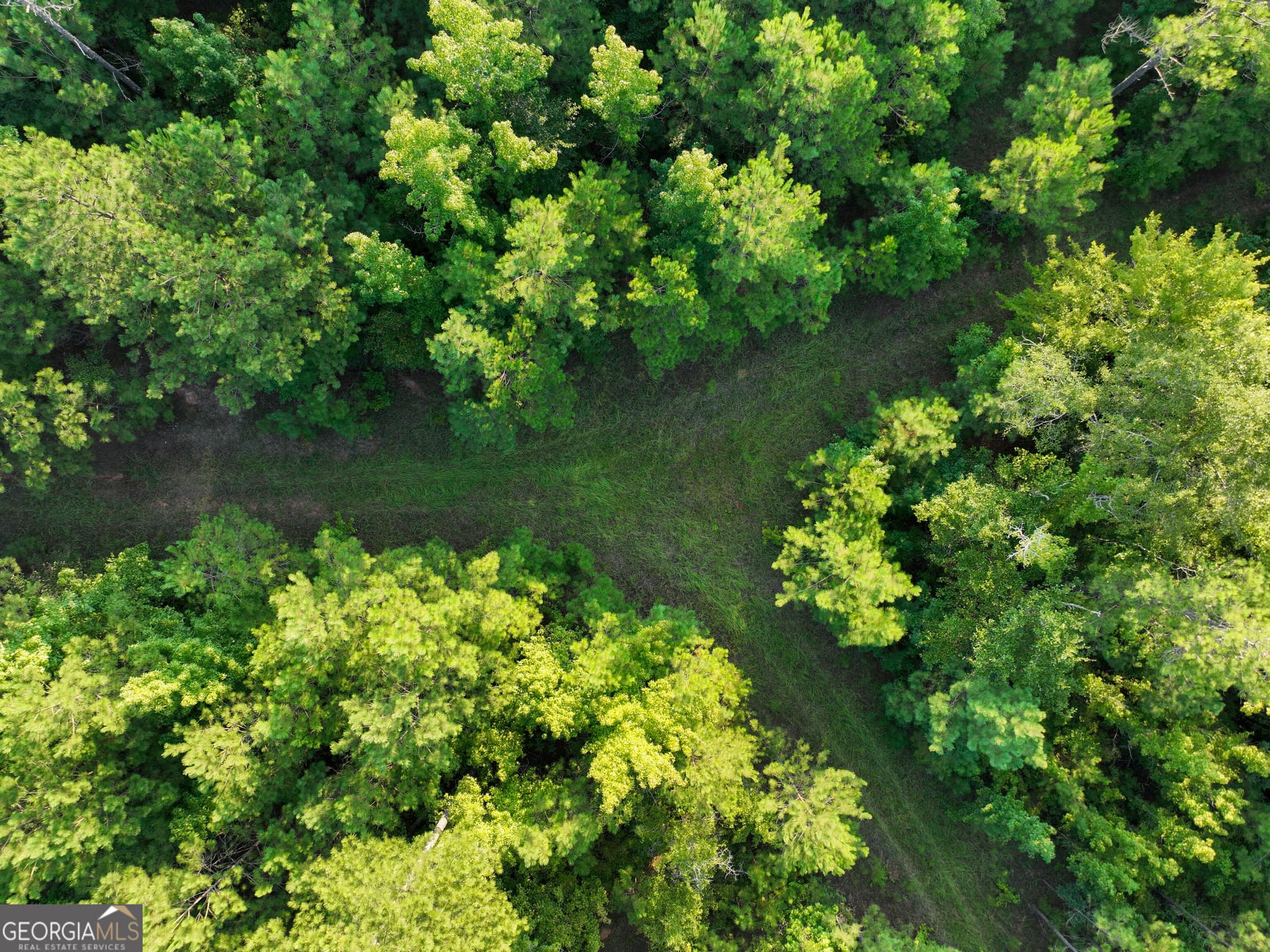 agriculture for sale at 110 & 200 McCullar Weaver Road, Milledgeville, GA 31061 — photo 4