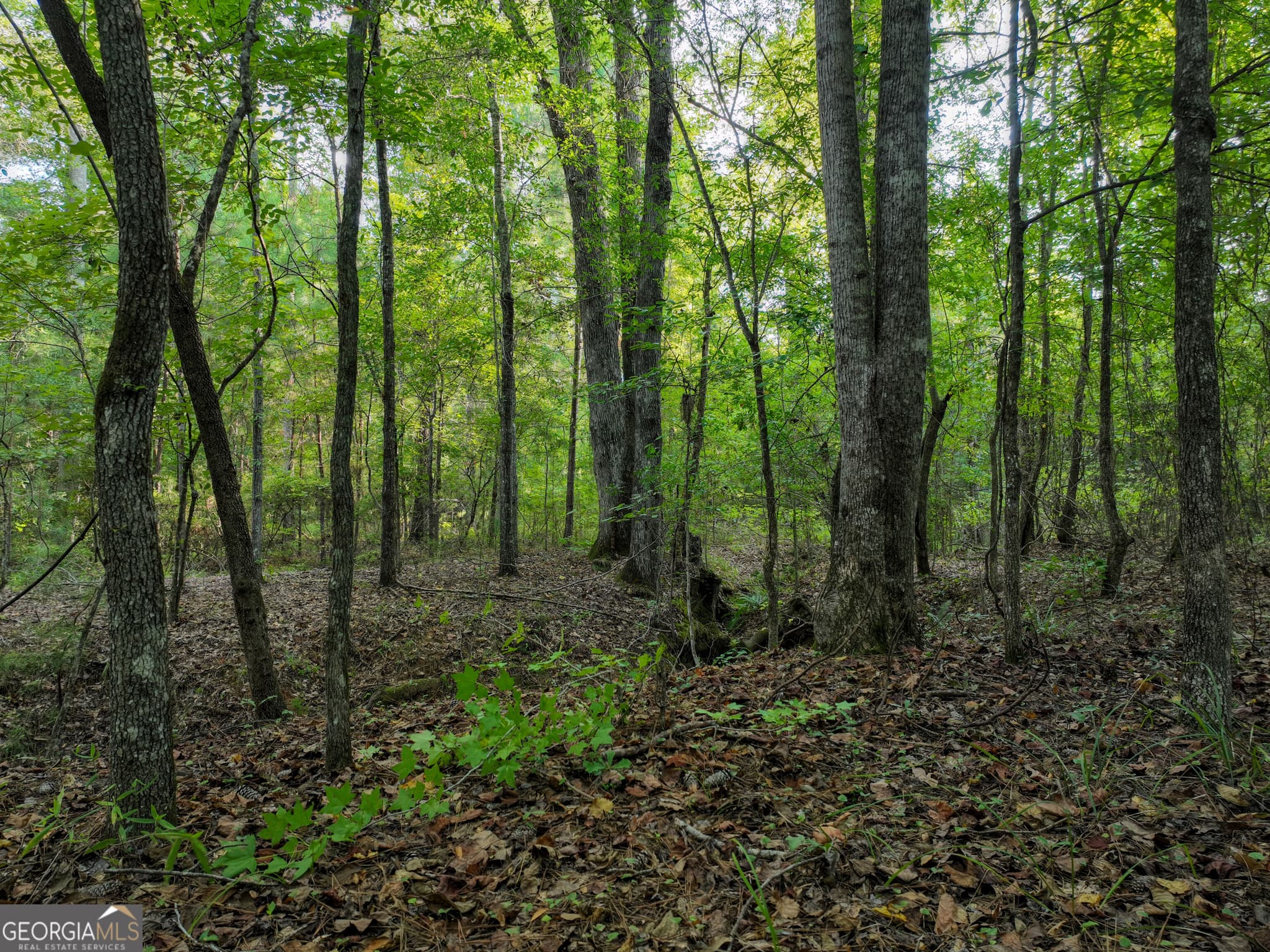 agriculture for sale at 110 & 200 McCullar Weaver Road, Milledgeville, GA 31061 — photo 8