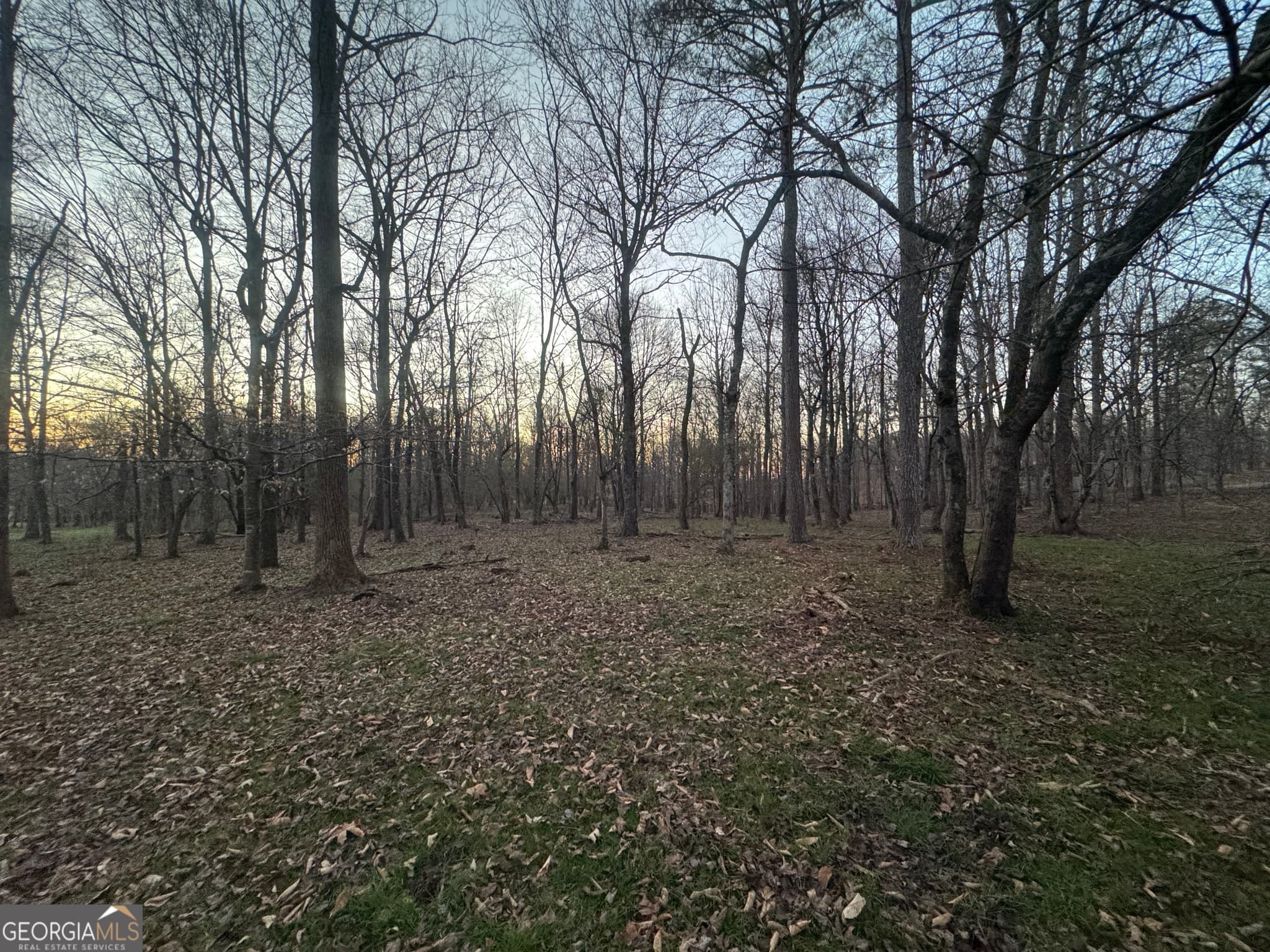 residential lot for sale at 373 Thompson Lane, Jasper, GA 30143 — photo 6