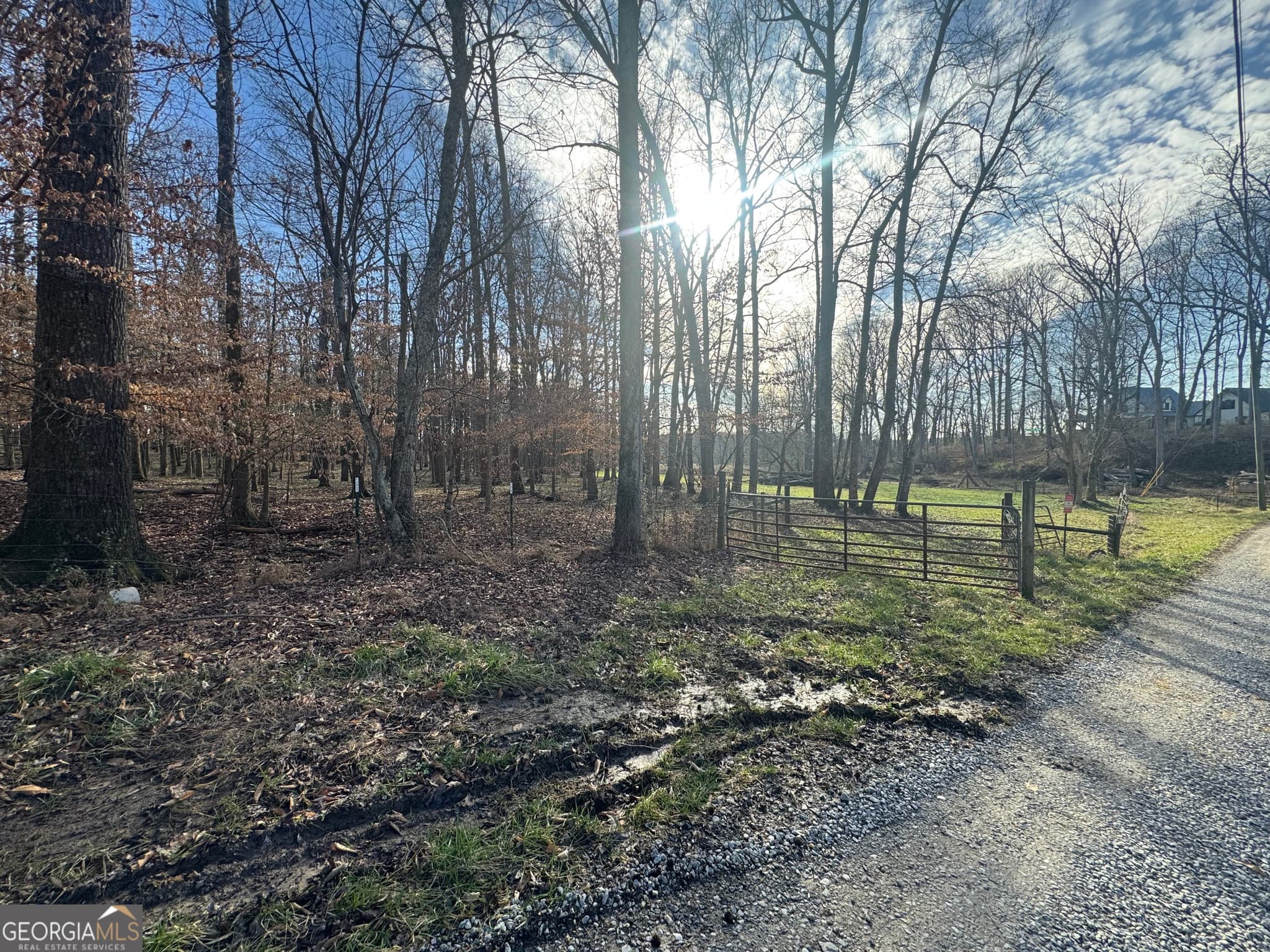 residential lot for sale at 373 Thompson Lane, Jasper, GA 30143 — photo 3