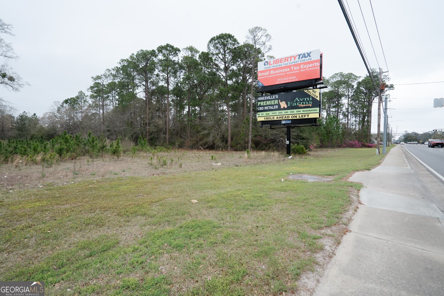 unimproved land for sale at 1.09 AC Elma G Miles Parkway, Hinesville, GA 31313 — photo 2