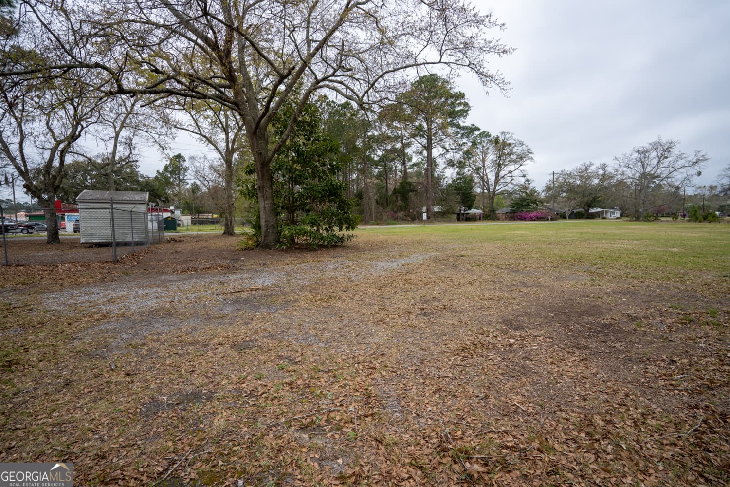 unimproved land for sale at 1.09 AC Elma G Miles Parkway, Hinesville, GA 31313 — photo 6