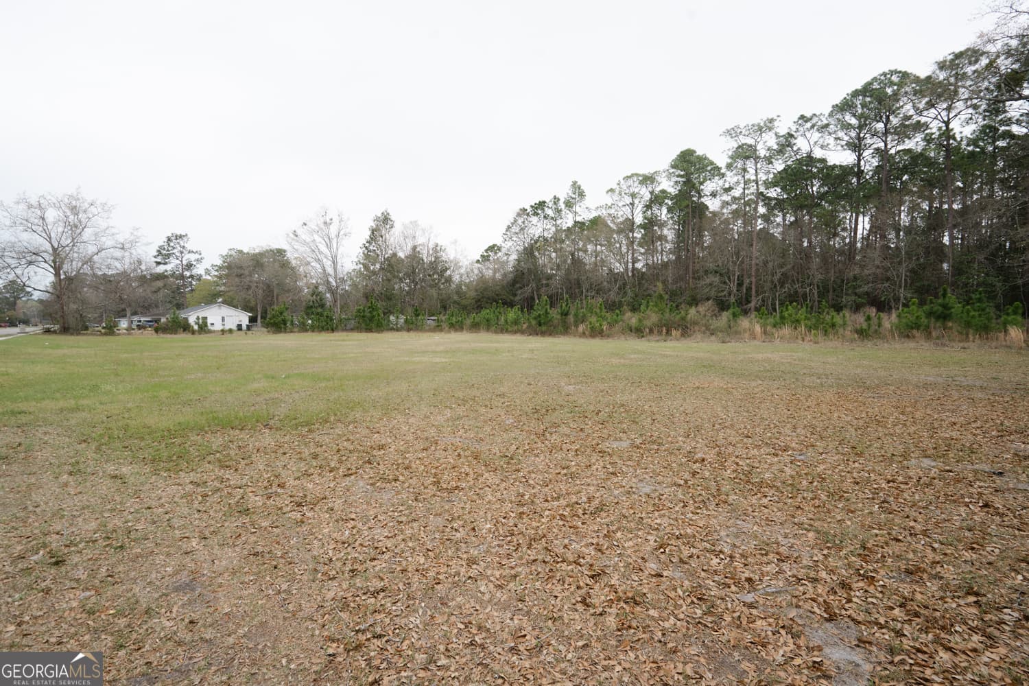 unimproved land for sale at 1.09 AC Elma G Miles Parkway, Hinesville, GA 31313 — photo 7