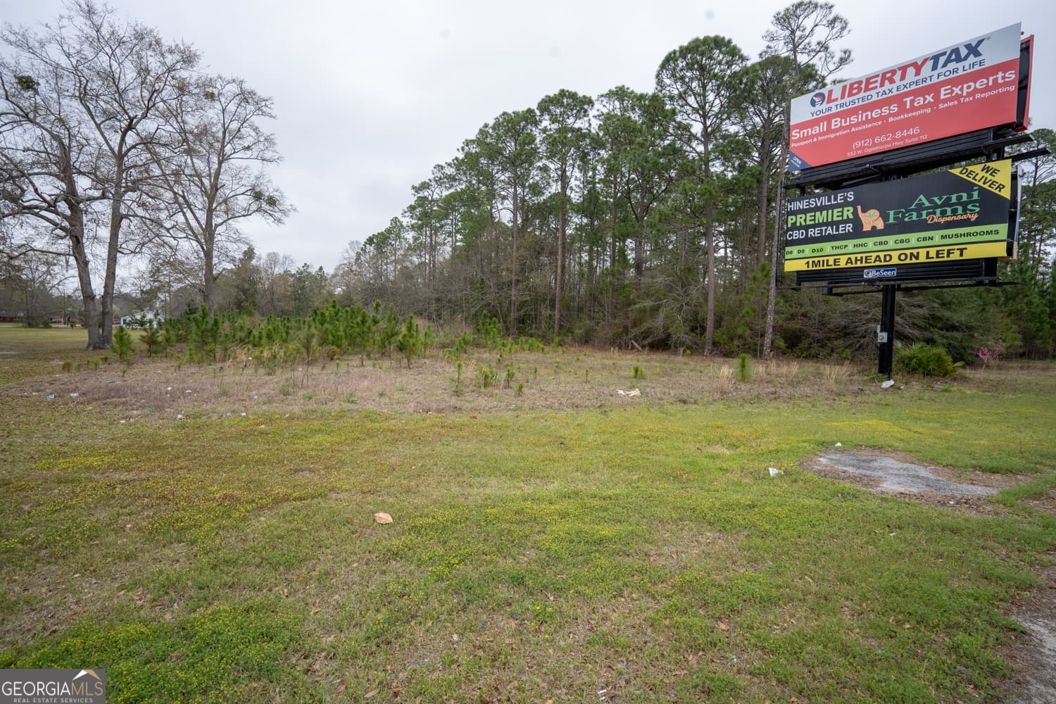 unimproved land for sale at 1.09 AC Elma G Miles Parkway, Hinesville, GA 31313 — photo 3