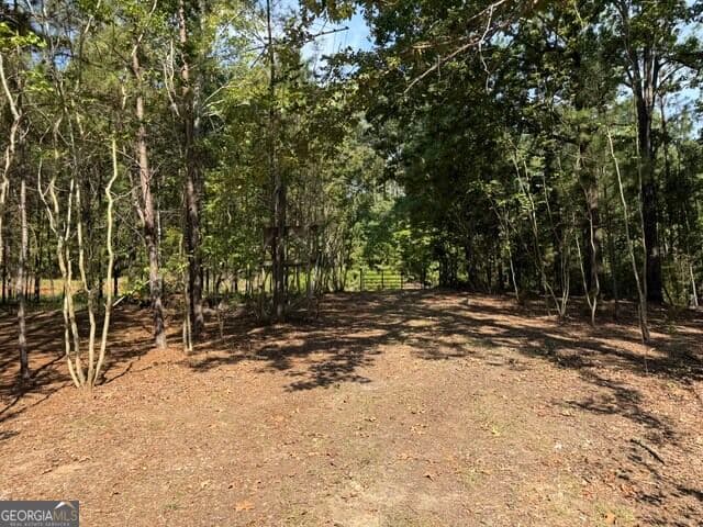 2 bedroom, 1 bathroom, 1,024 sq ft single family residence for sale at 462 Amaryllis Drive, Sparta, GA 31087 — photo 6