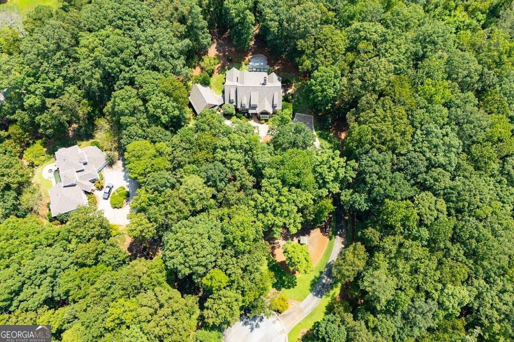 4 bedroom, 3 bathroom, 4,414 sq ft single family residence for sale at 124 Greystone Drive, Bremen, GA 30110 — photo 3