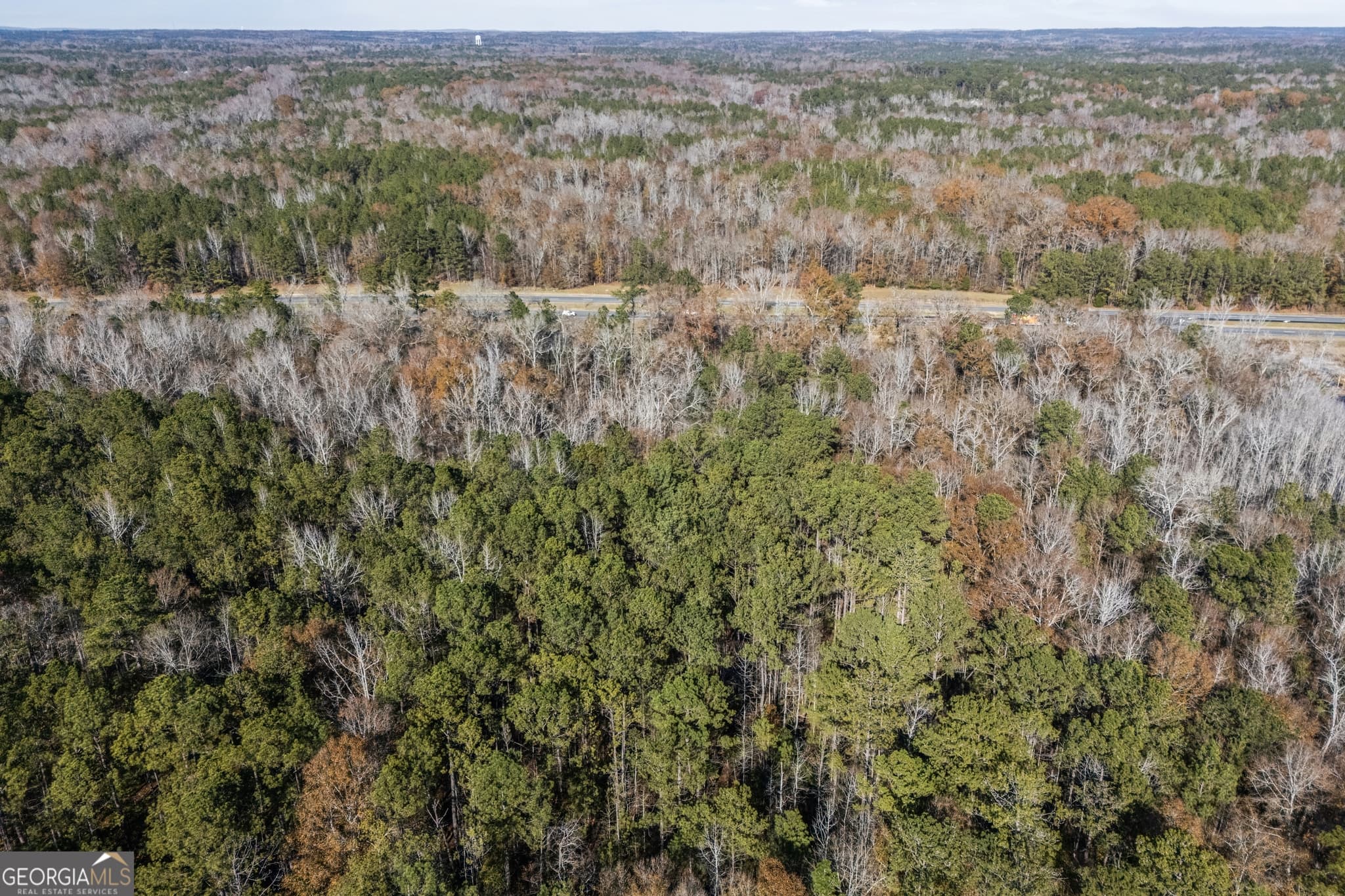 unimproved land for sale at 4057 Pope Road, Midland, GA 31820 — photo 6