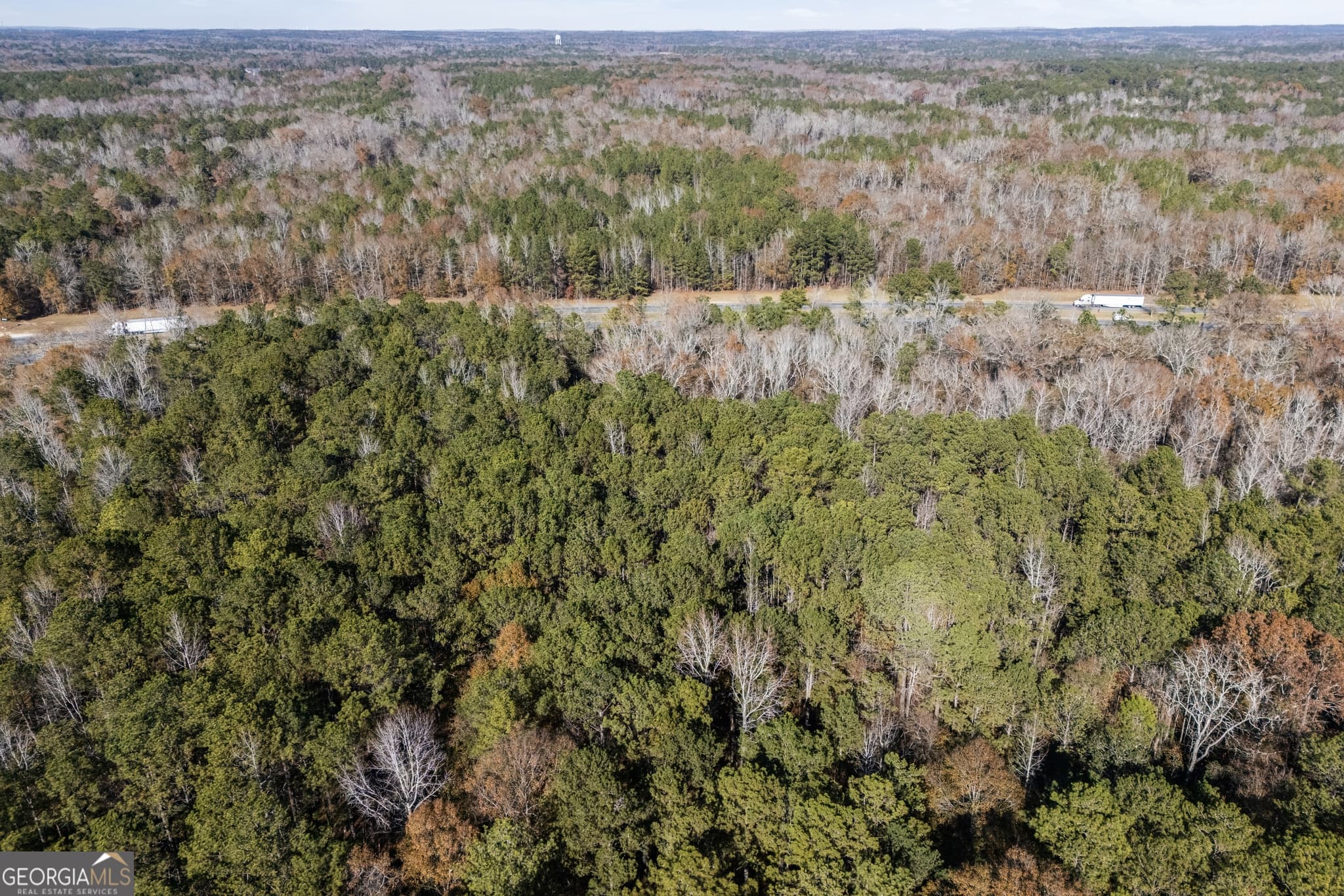 unimproved land for sale at 4057 Pope Road, Midland, GA 31820 — photo 7