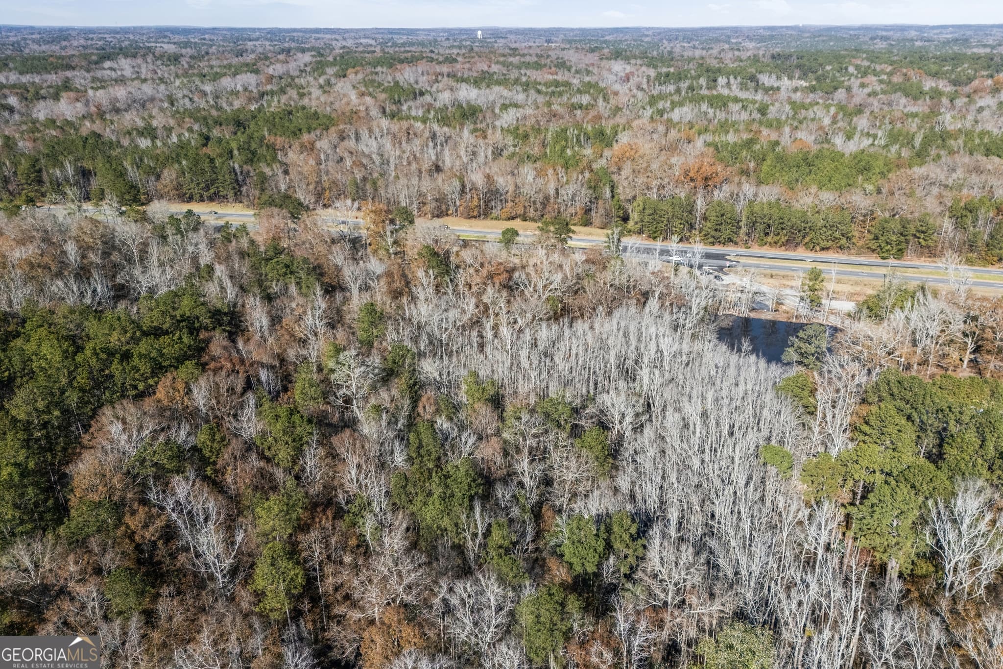 unimproved land for sale at 4057 Pope Road, Midland, GA 31820 — photo 5