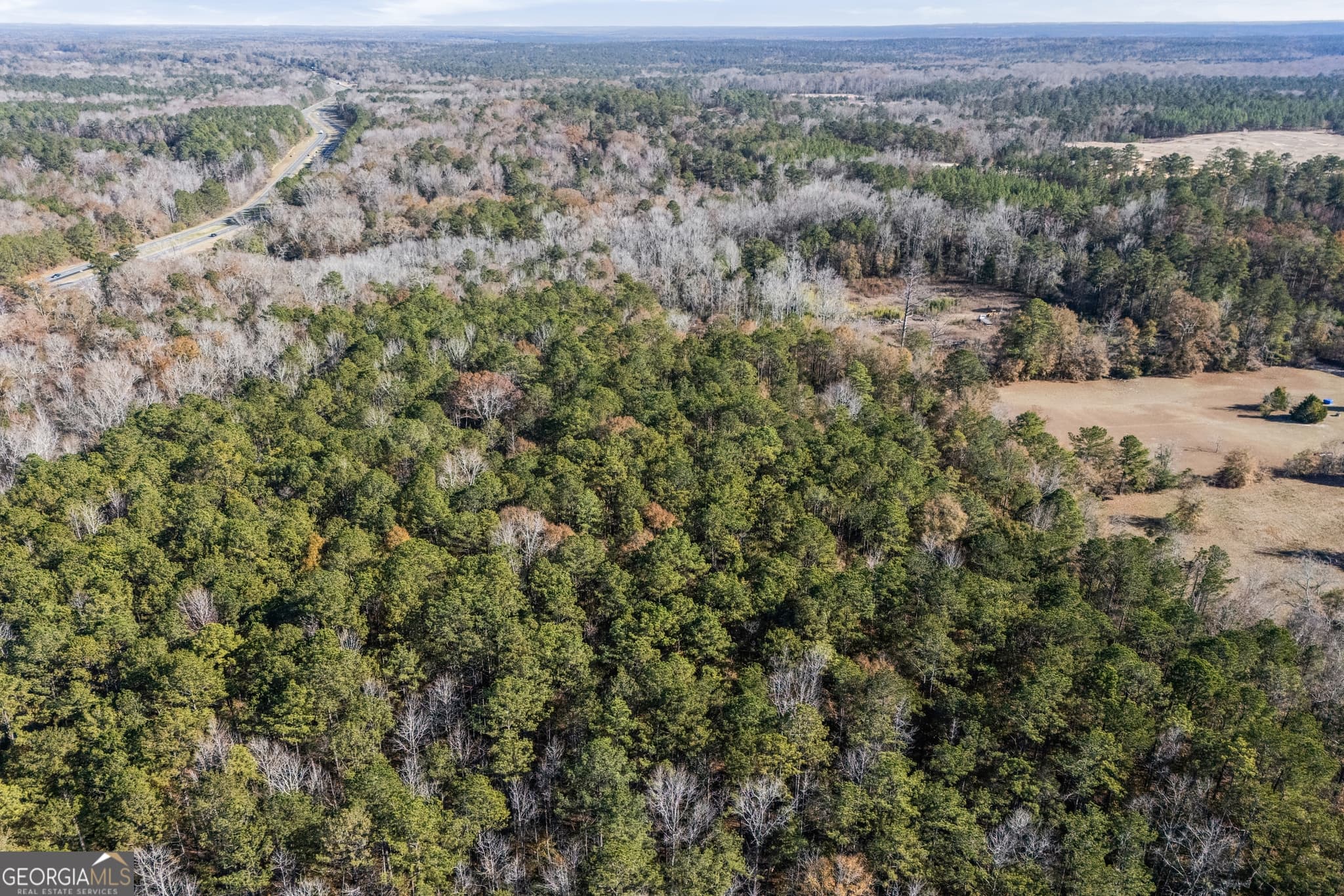 unimproved land for sale at 4057 Pope Road, Midland, GA 31820 — photo 9
